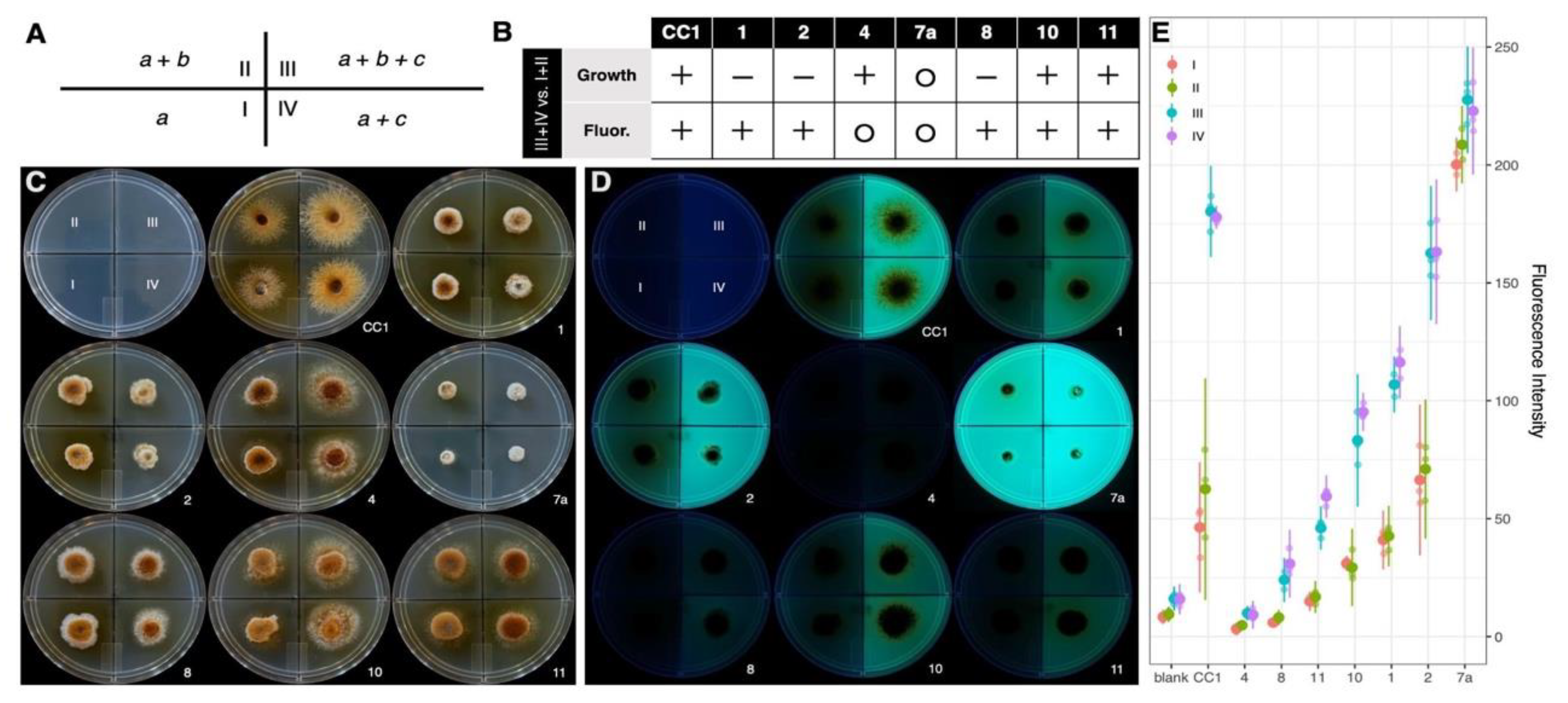 Preprints 143709 g008