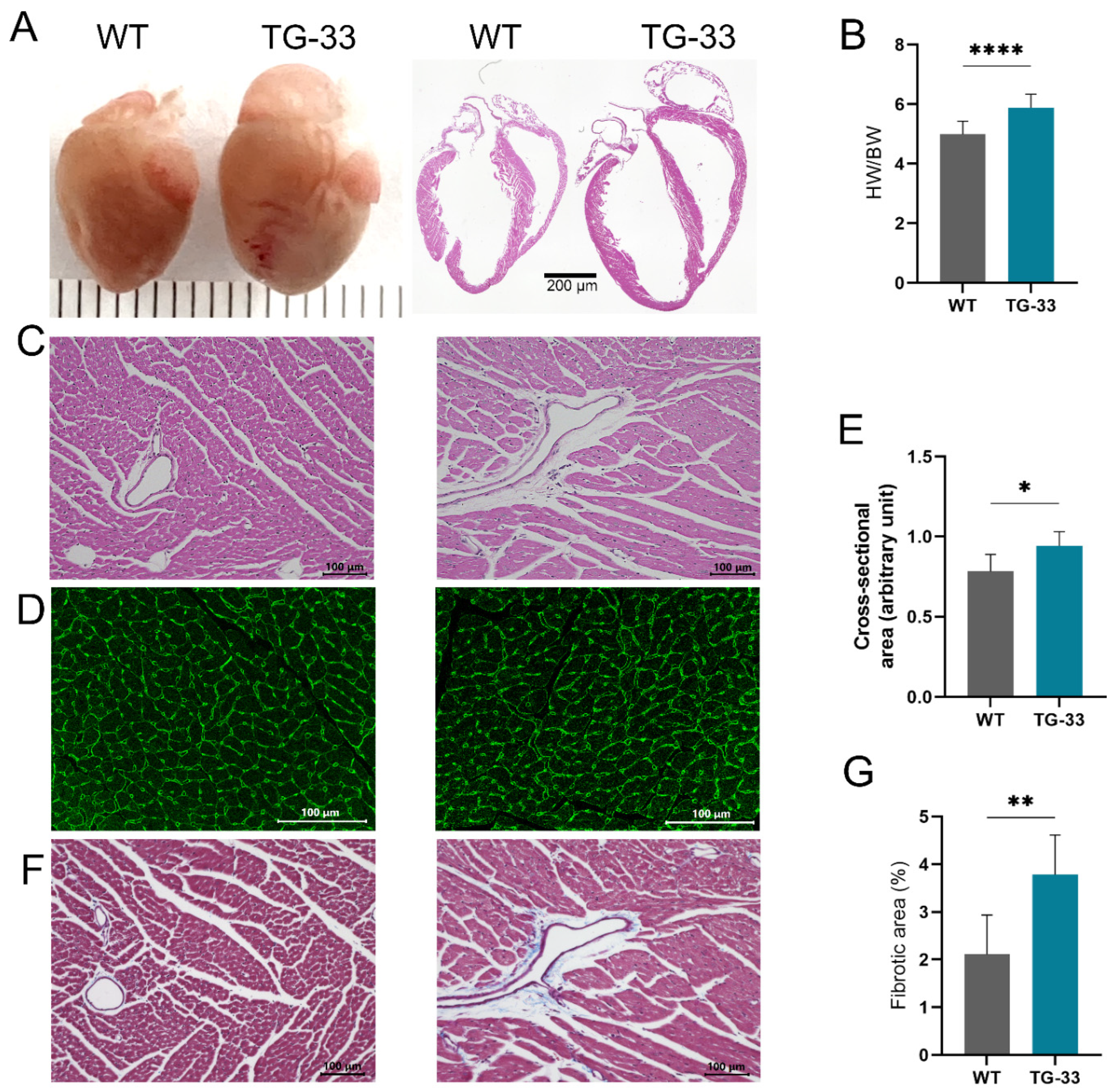 Preprints 117304 g001