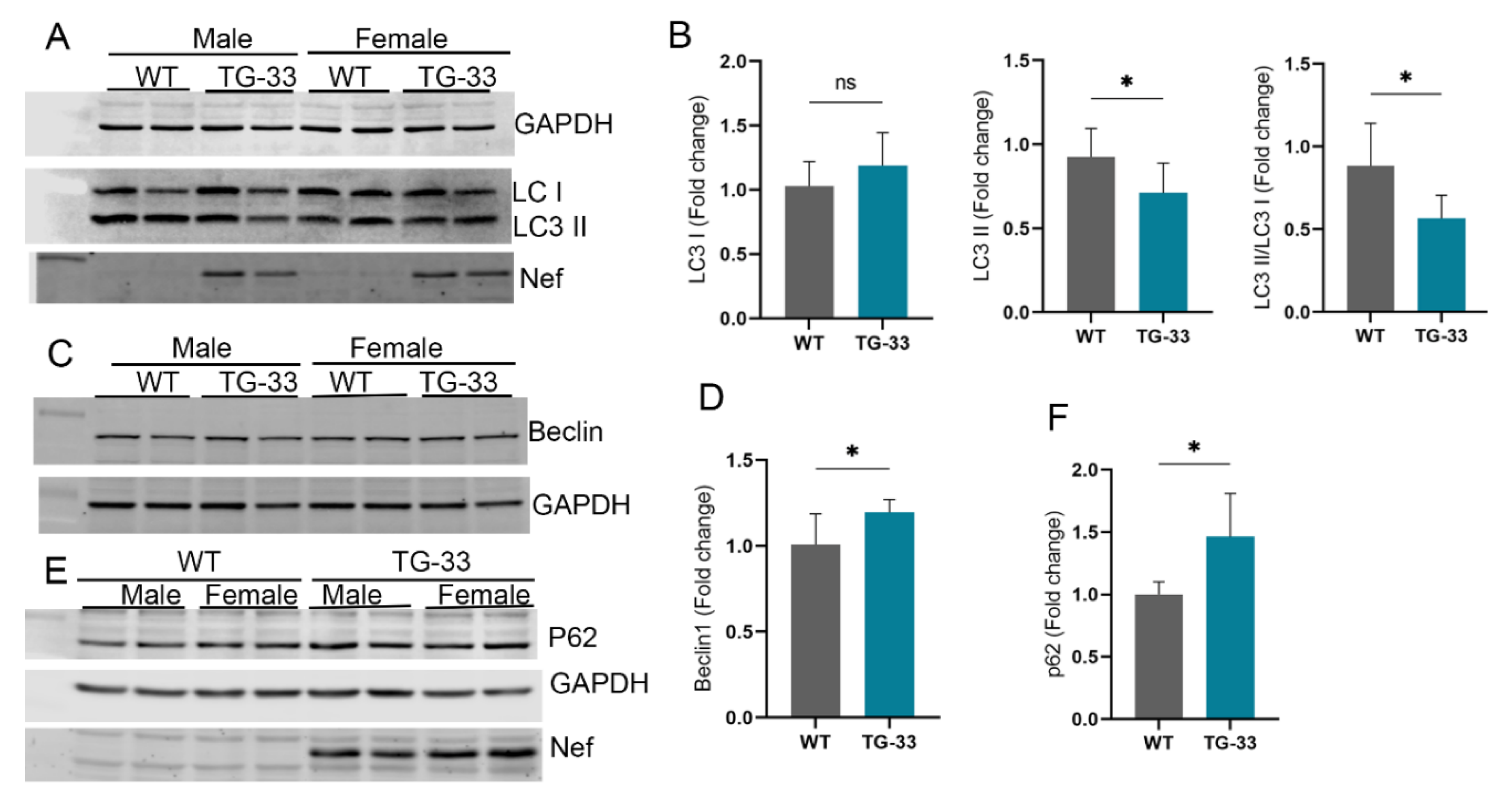 Preprints 117304 g003