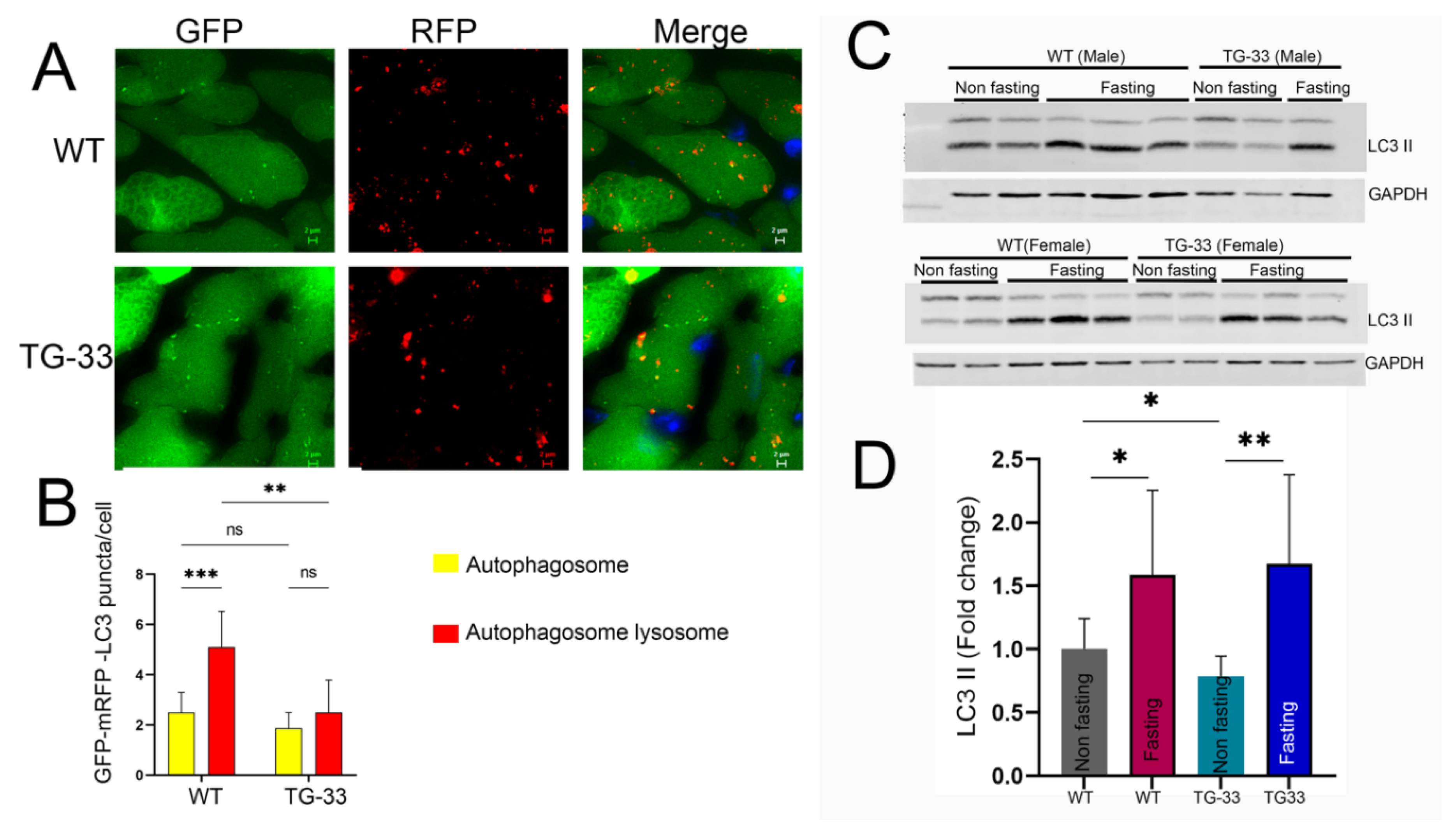 Preprints 117304 g004