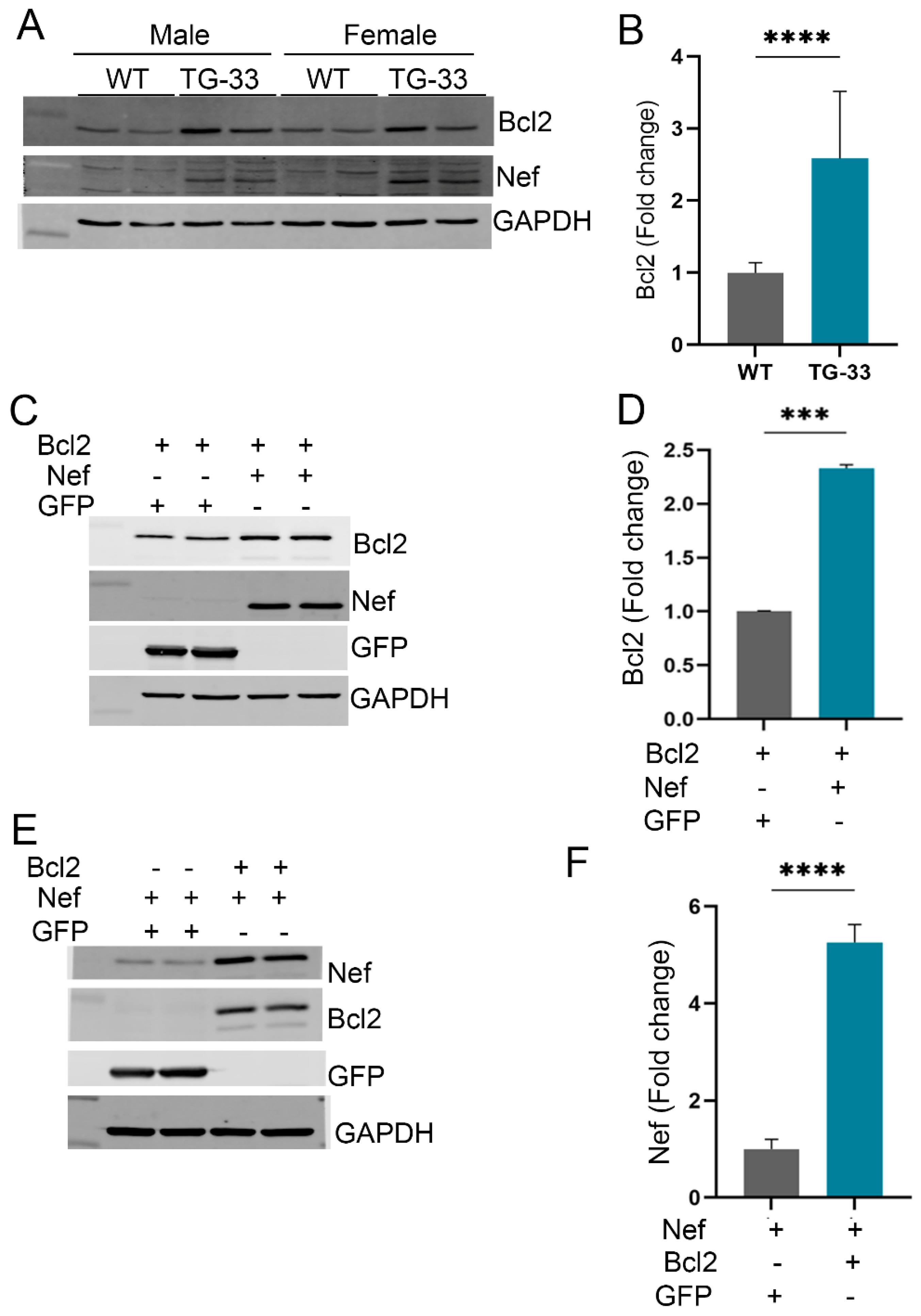 Preprints 117304 g005