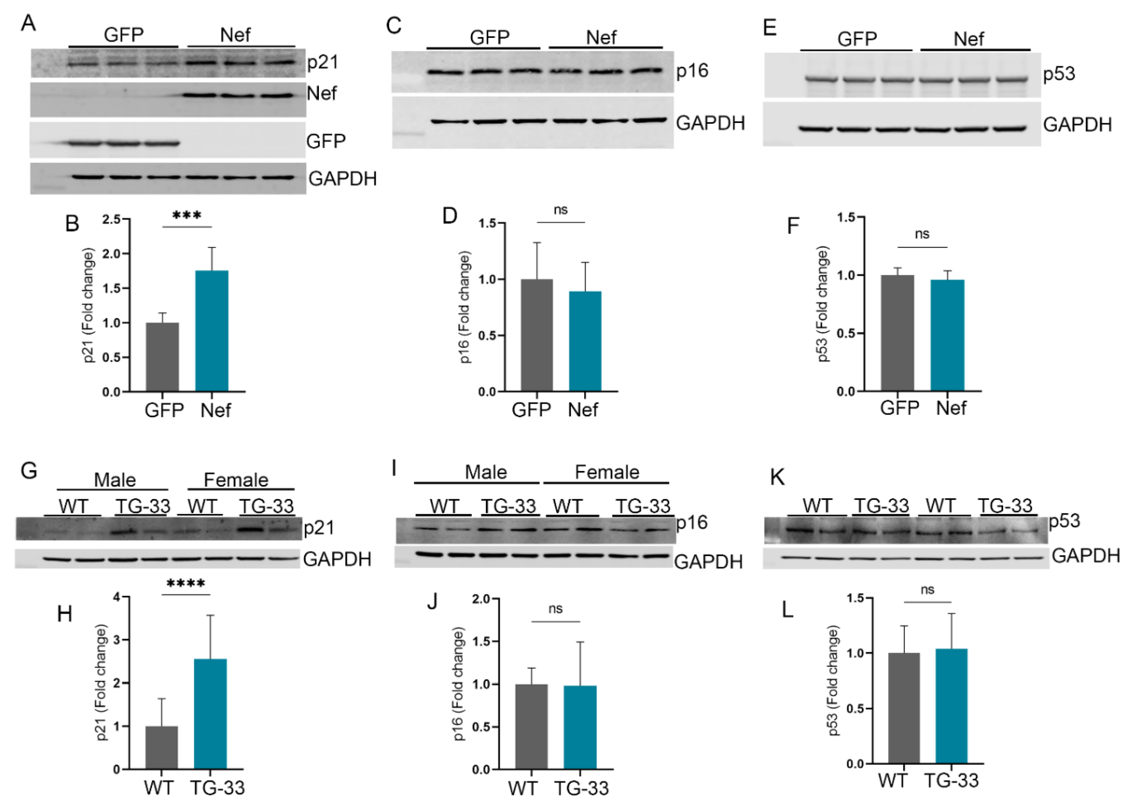 Preprints 117304 g006
