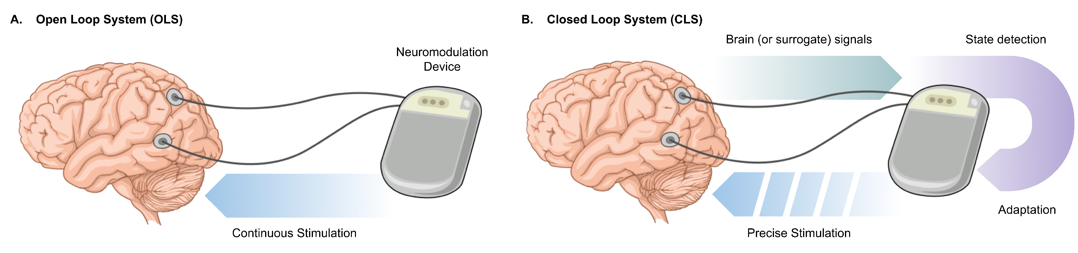 Preprints 186079 g001