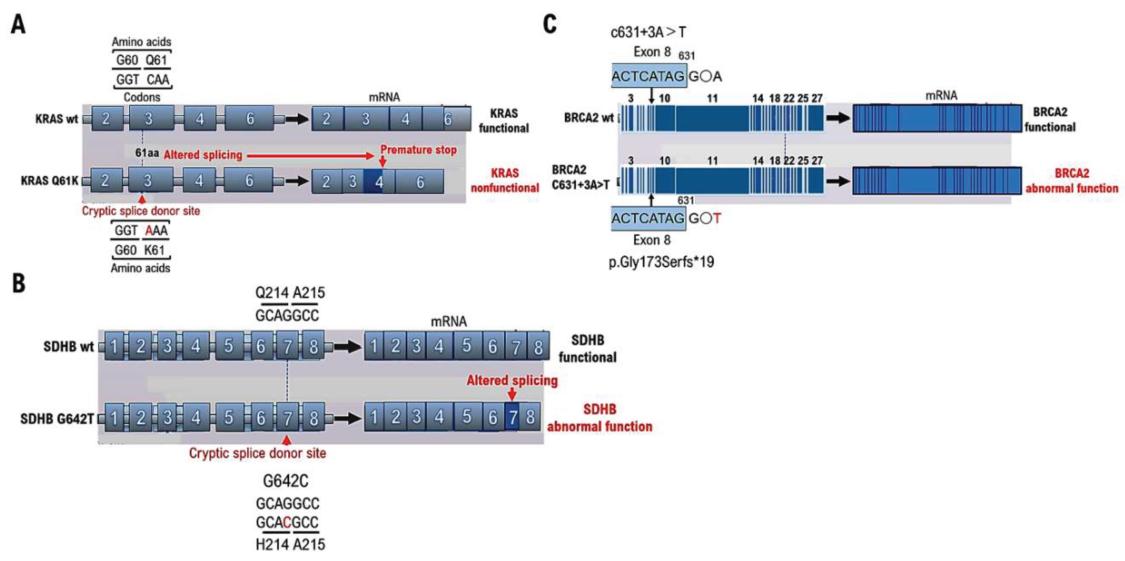 Preprints 160551 g001