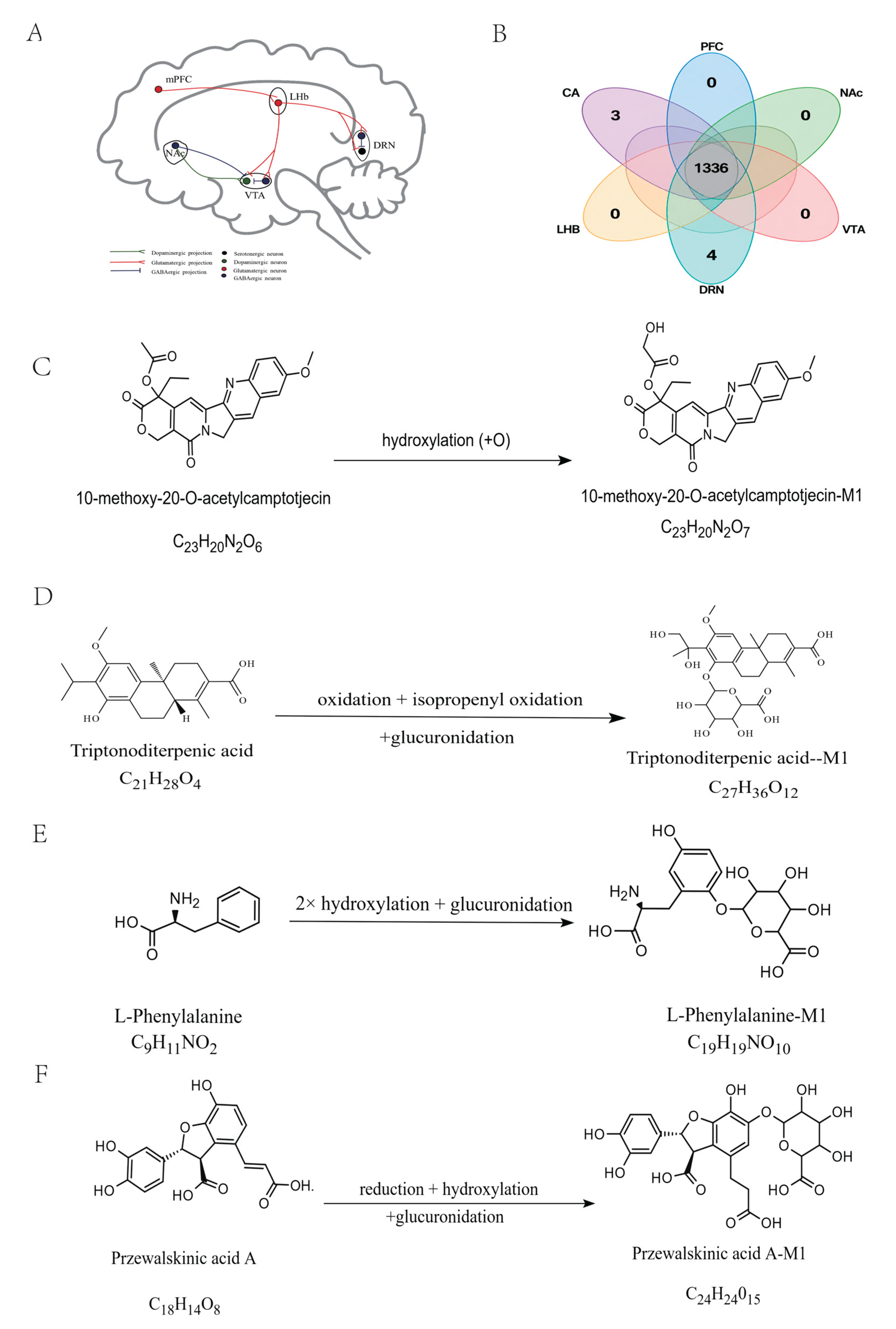 Preprints 238335 g004