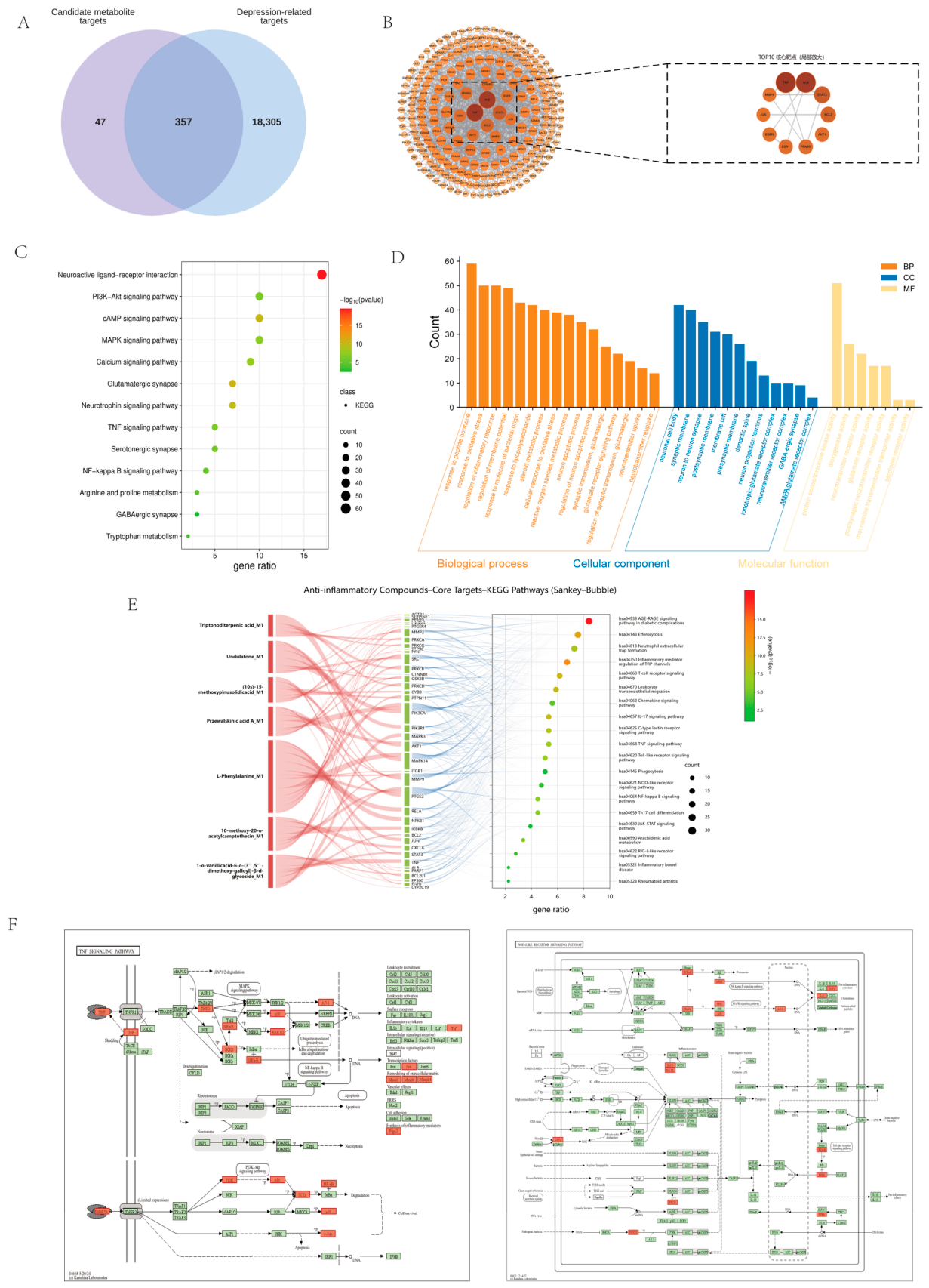 Preprints 238335 g006
