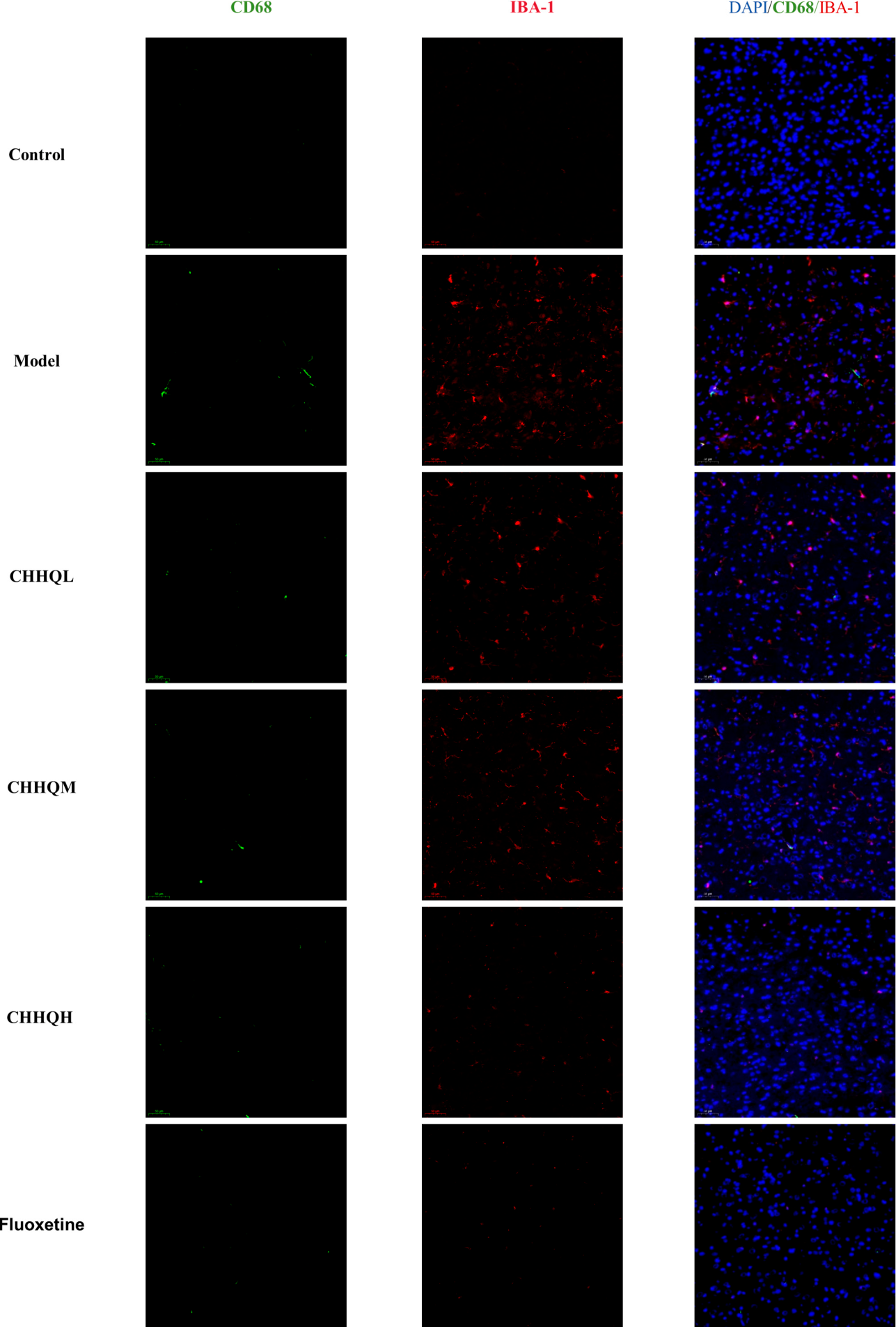 Preprints 238335 g010