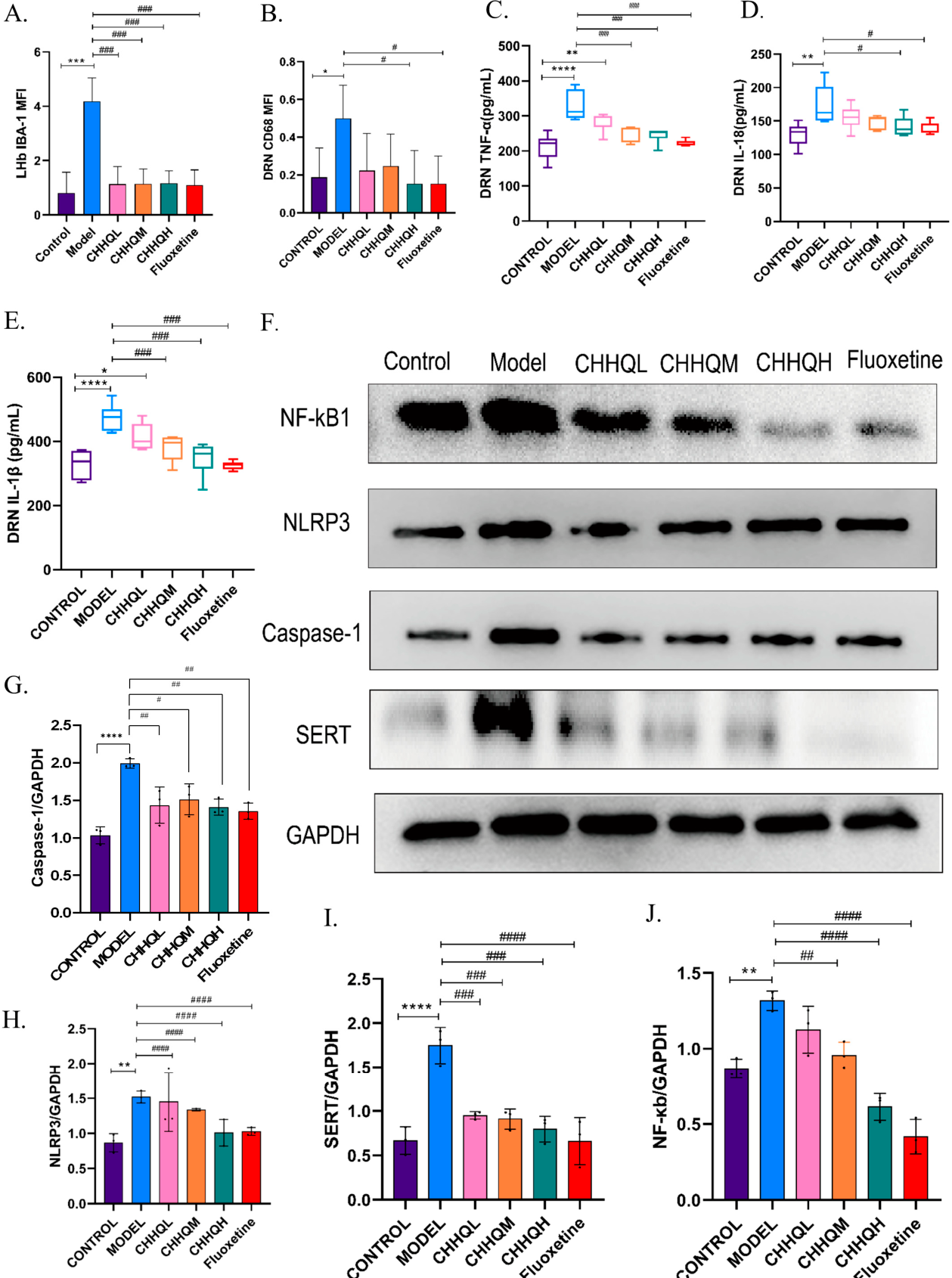 Preprints 238335 g011