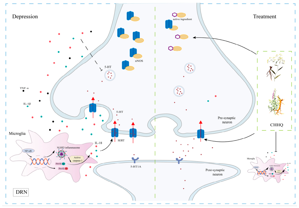 Preprints 238335 g012