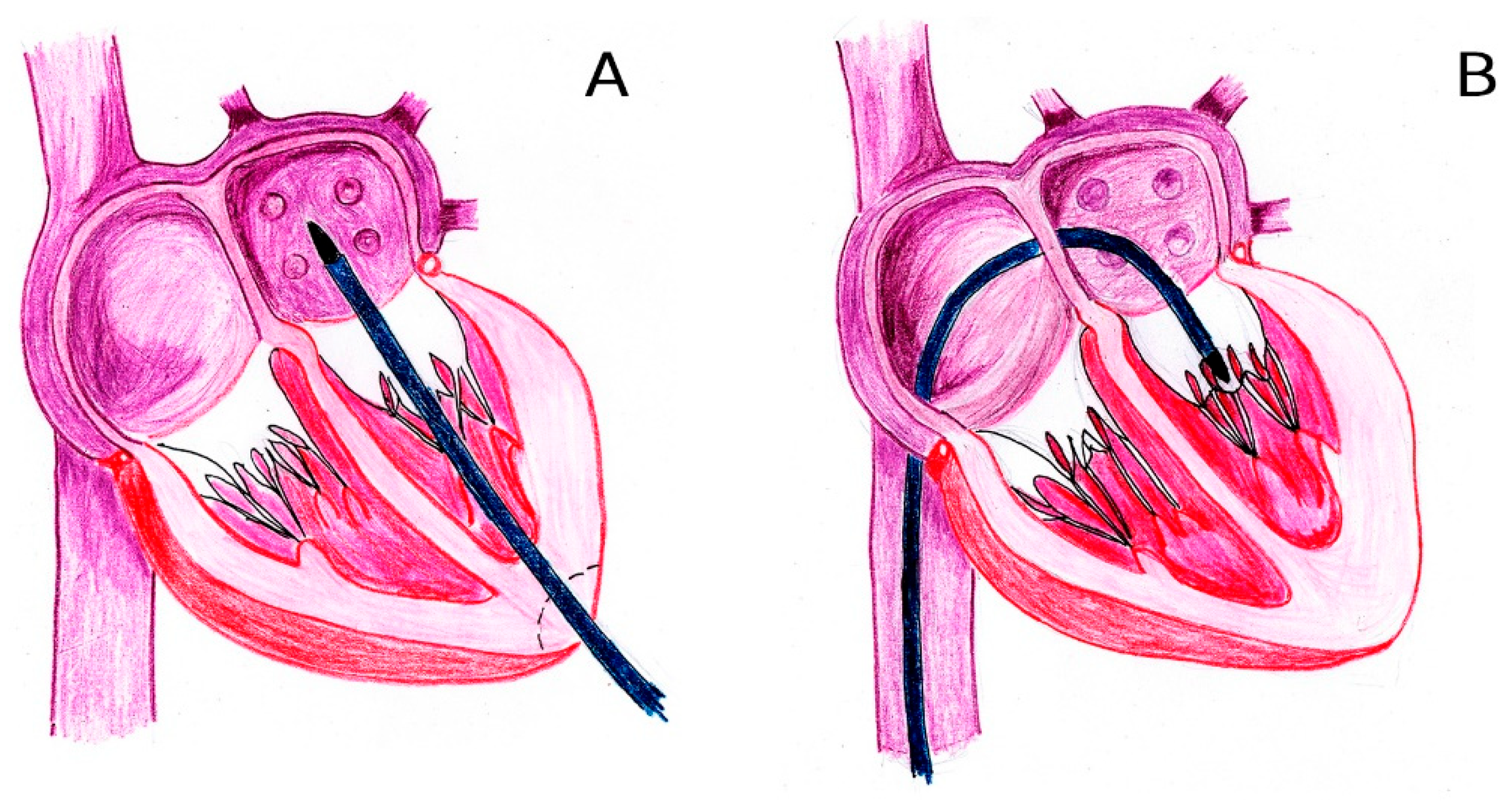 Preprints 162466 g002
