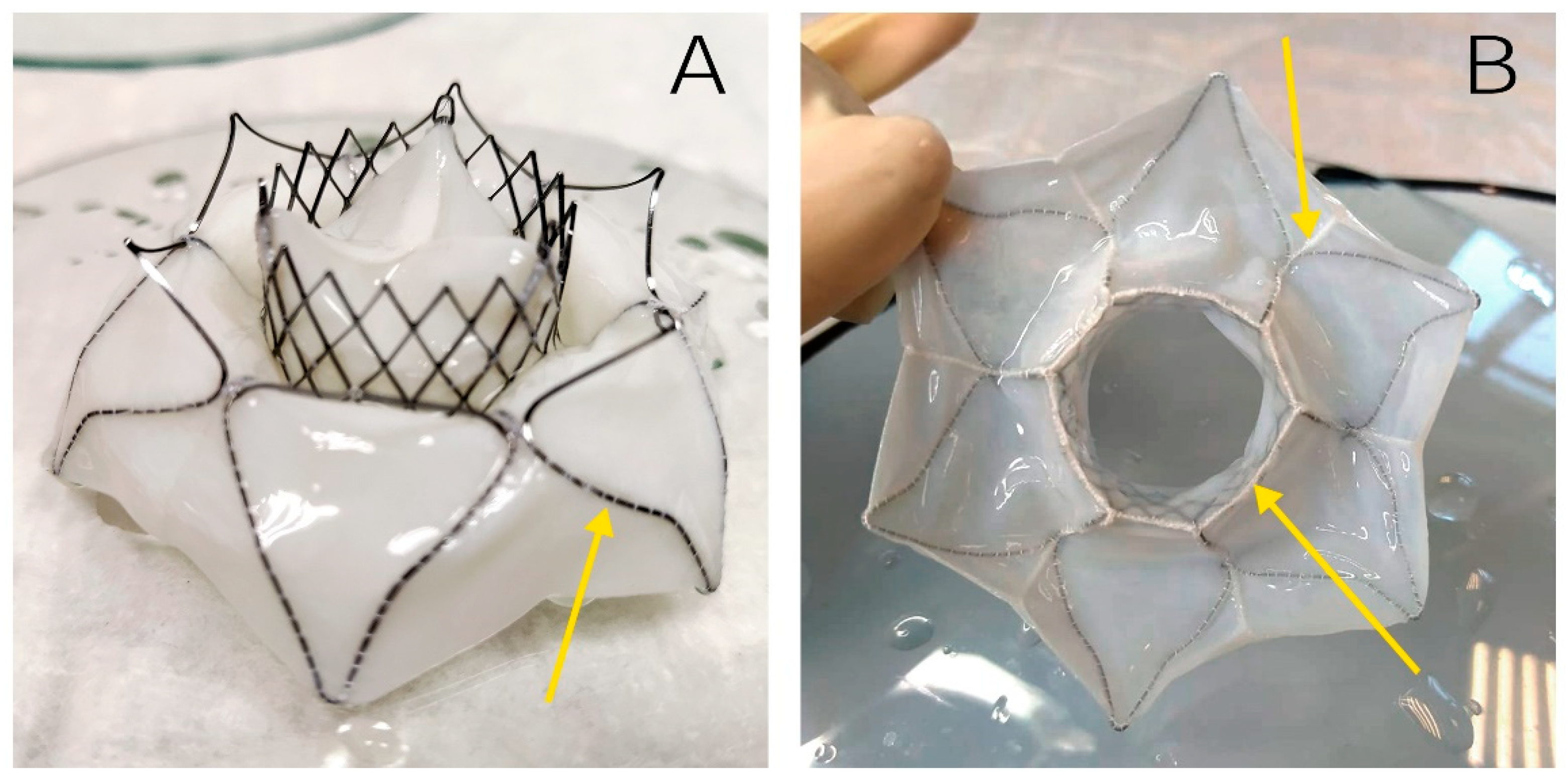 Preprints 162466 g005