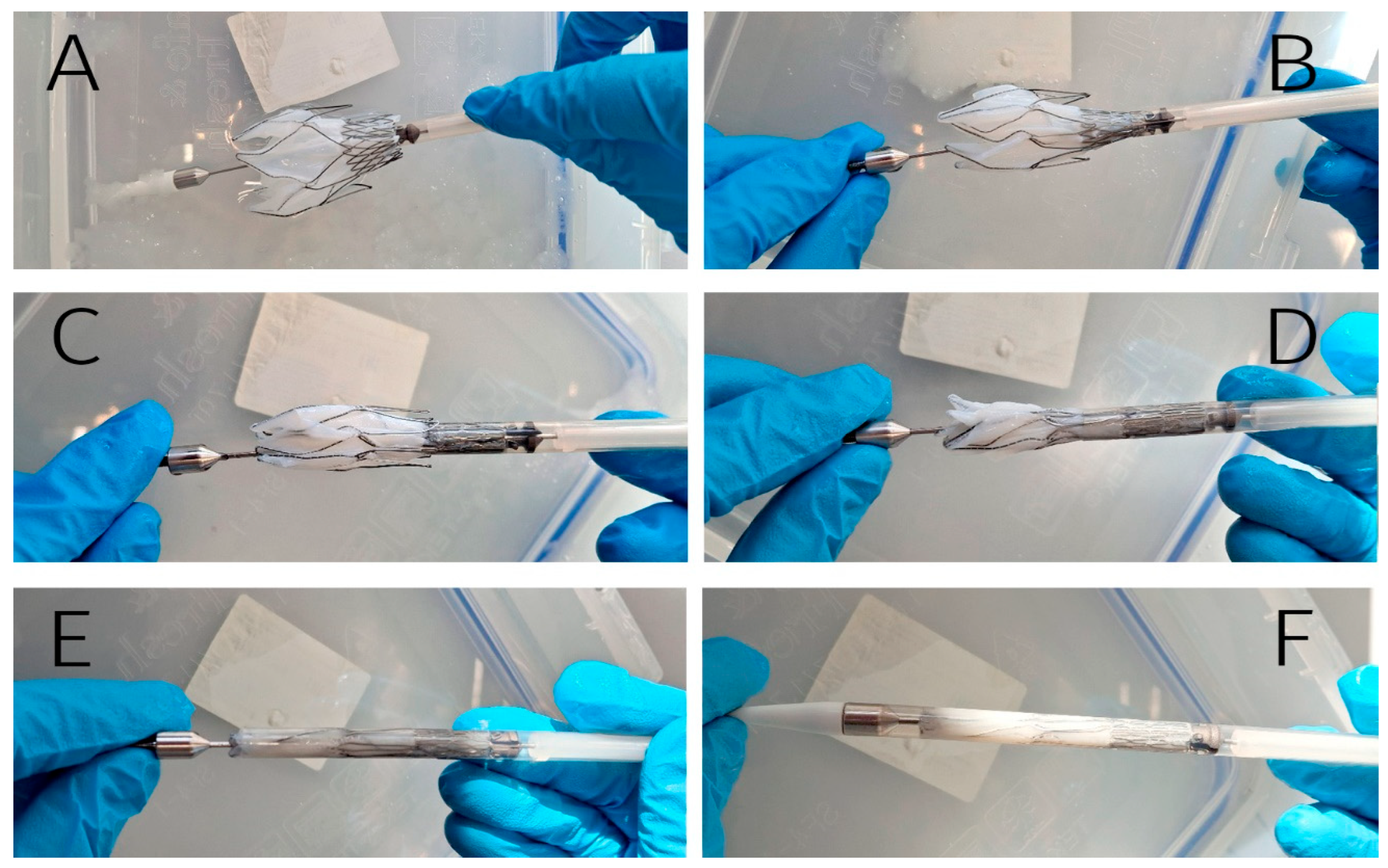 Preprints 162466 g006