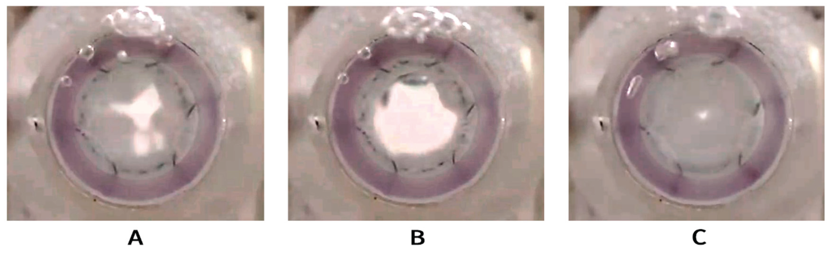 Preprints 162466 g007