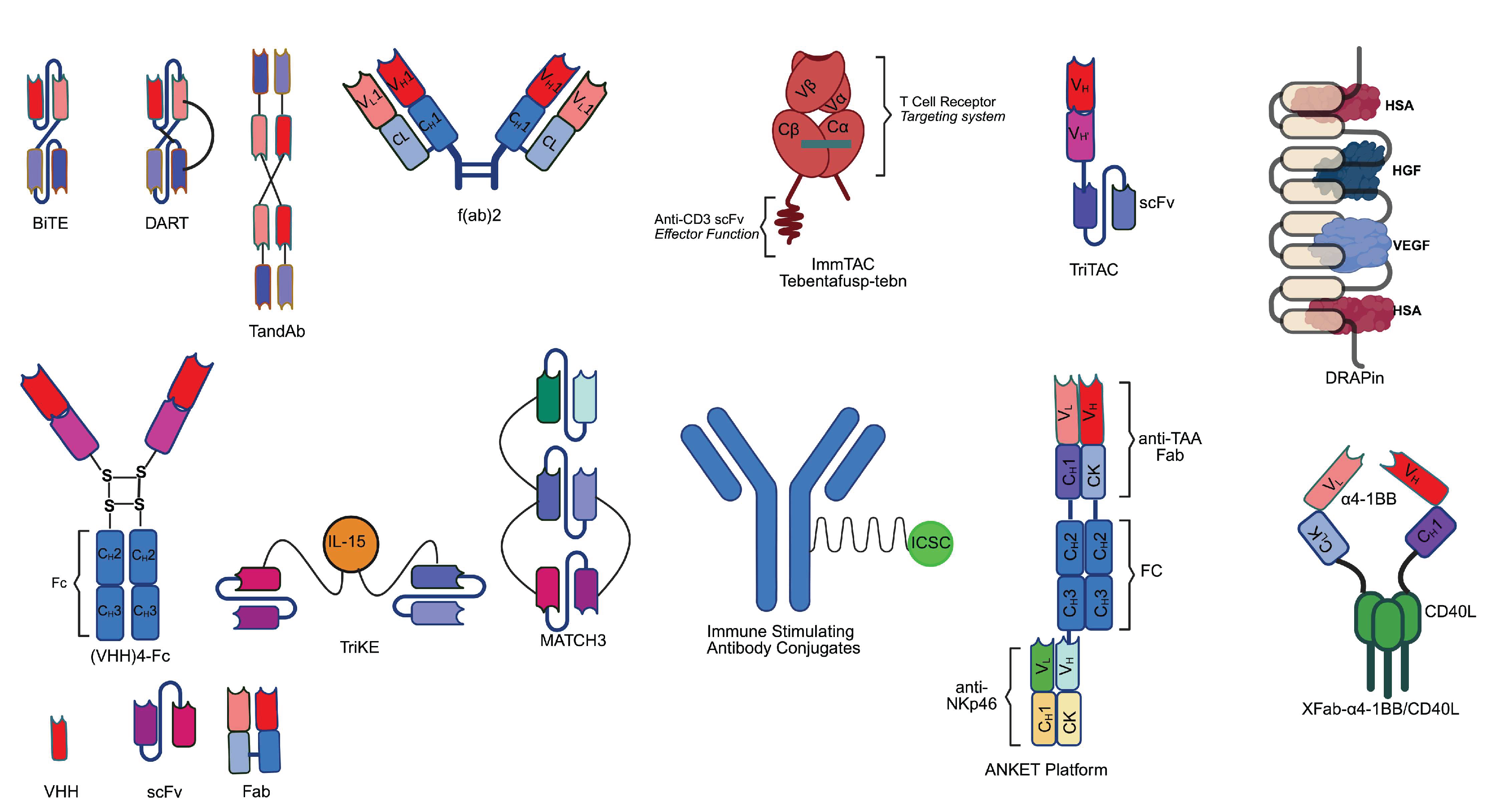 Preprints 161311 g001