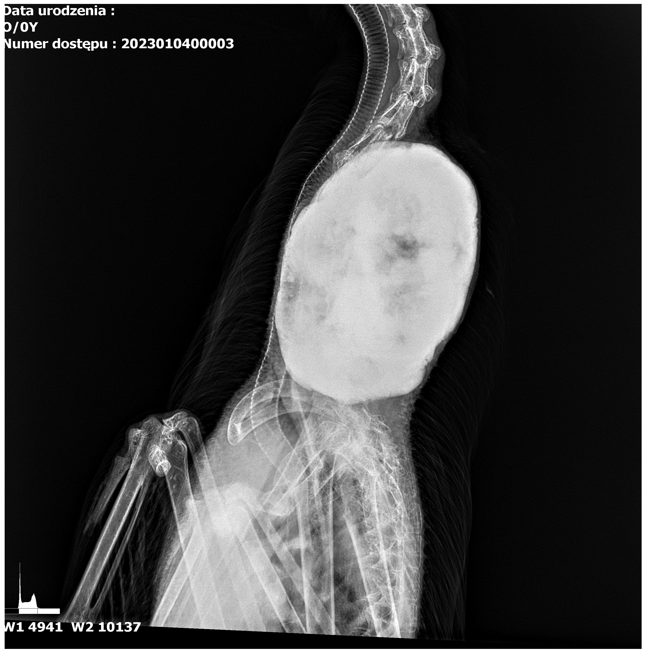 Preprints 150753 g002