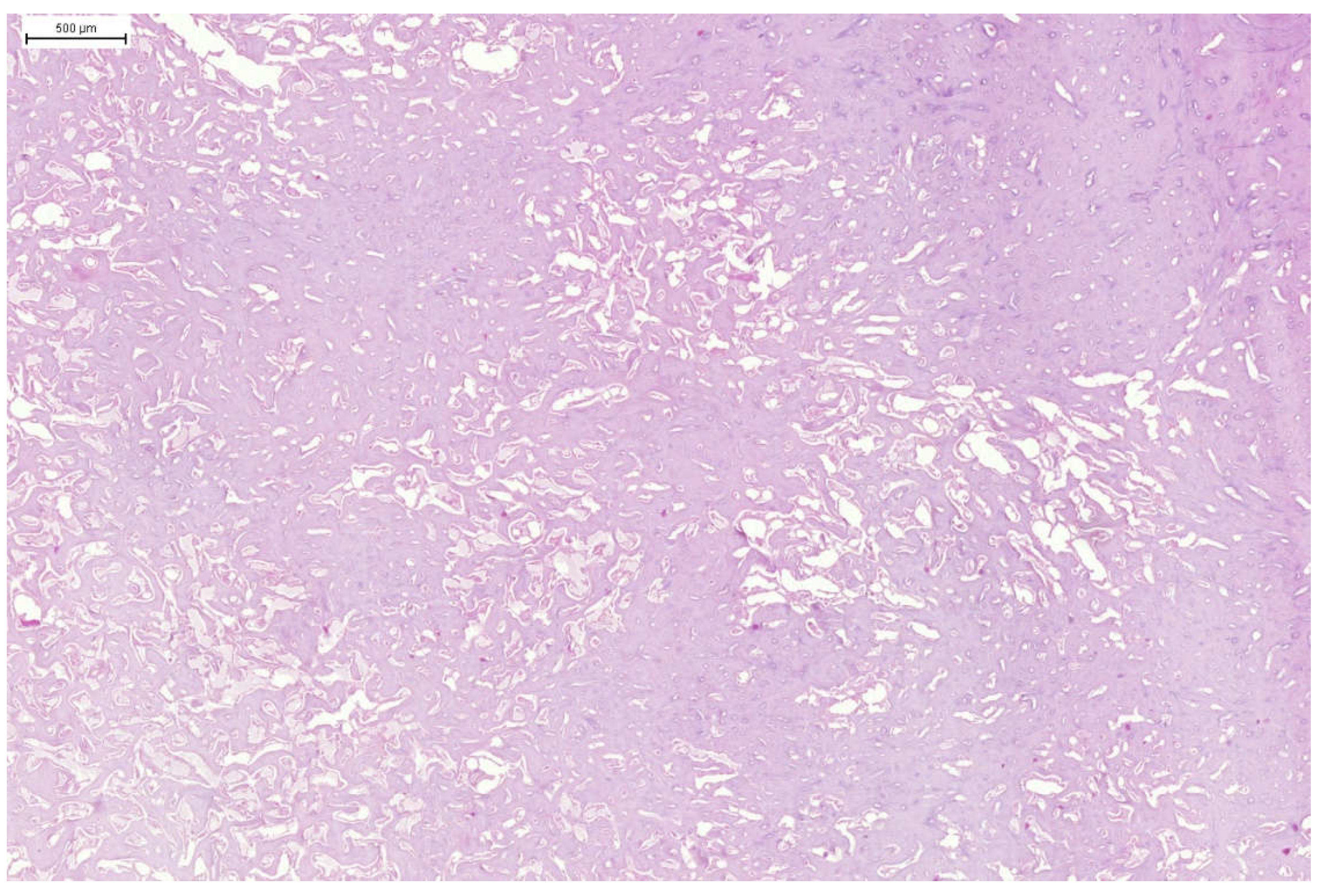 Preprints 150753 g008