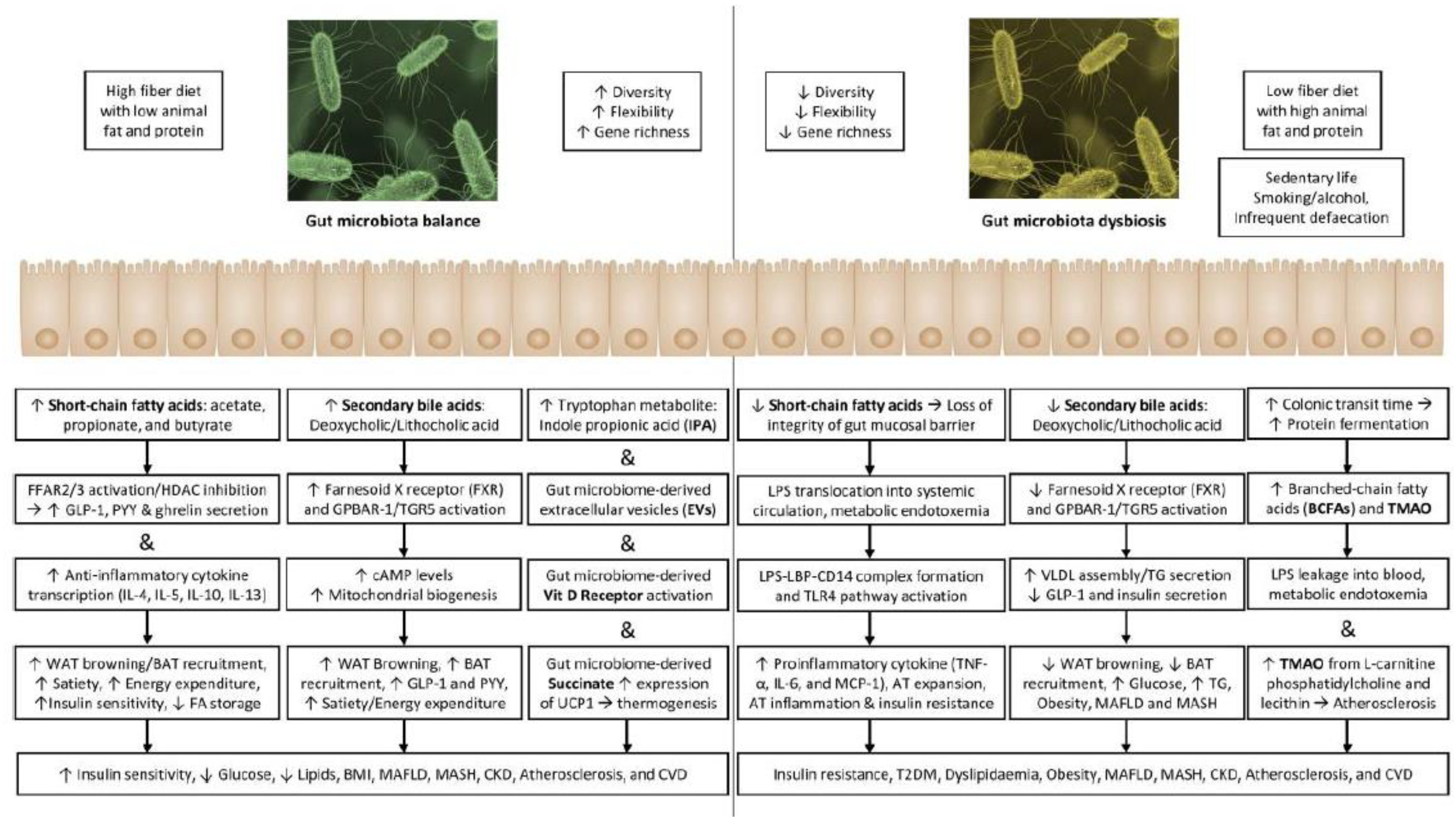 Preprints 158677 g001