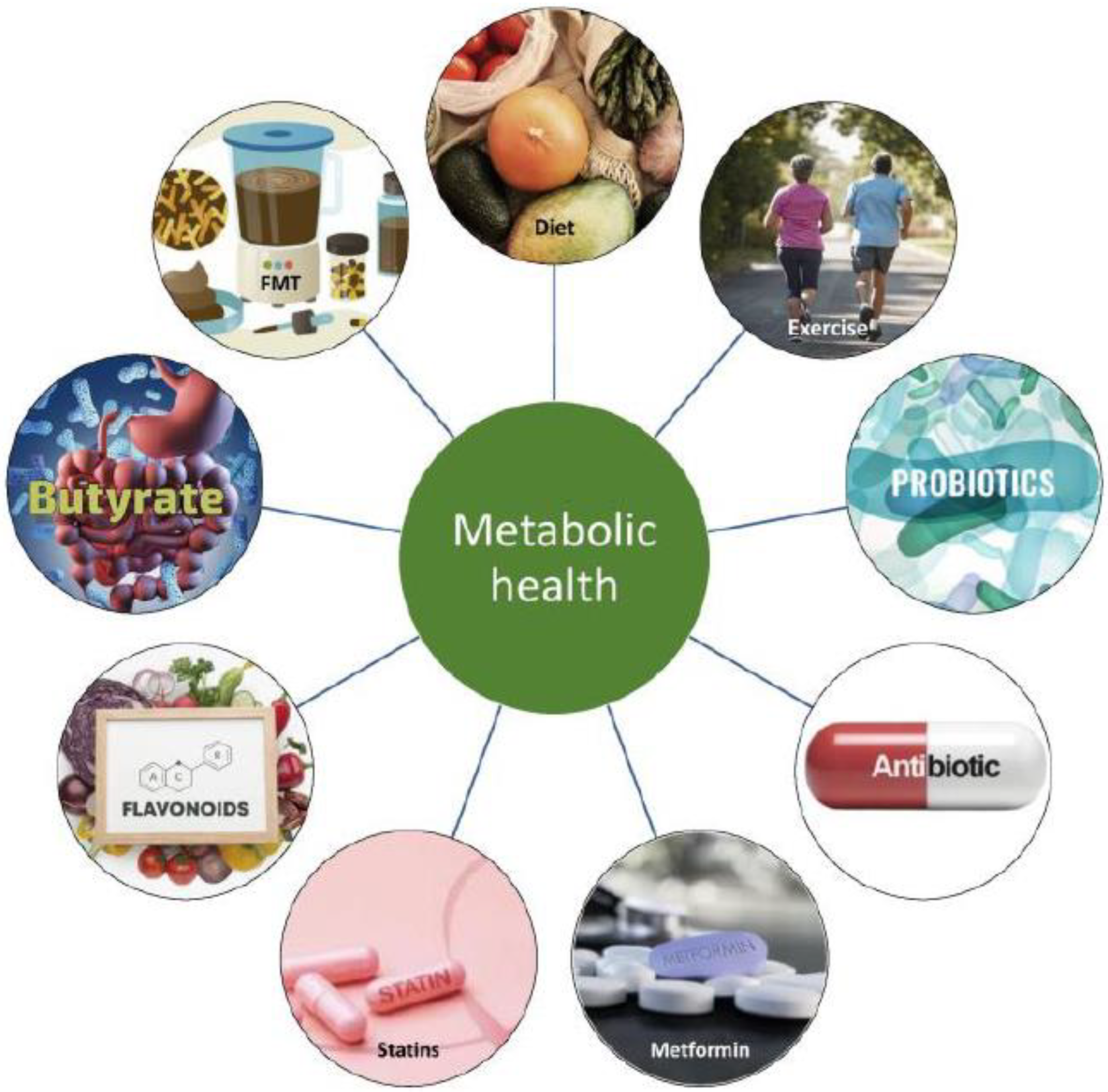 Preprints 158677 g002