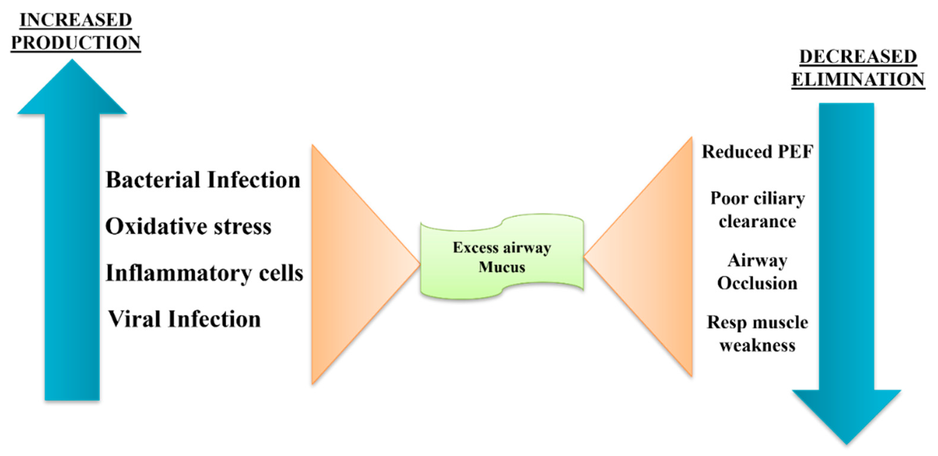 Preprints 139689 g002