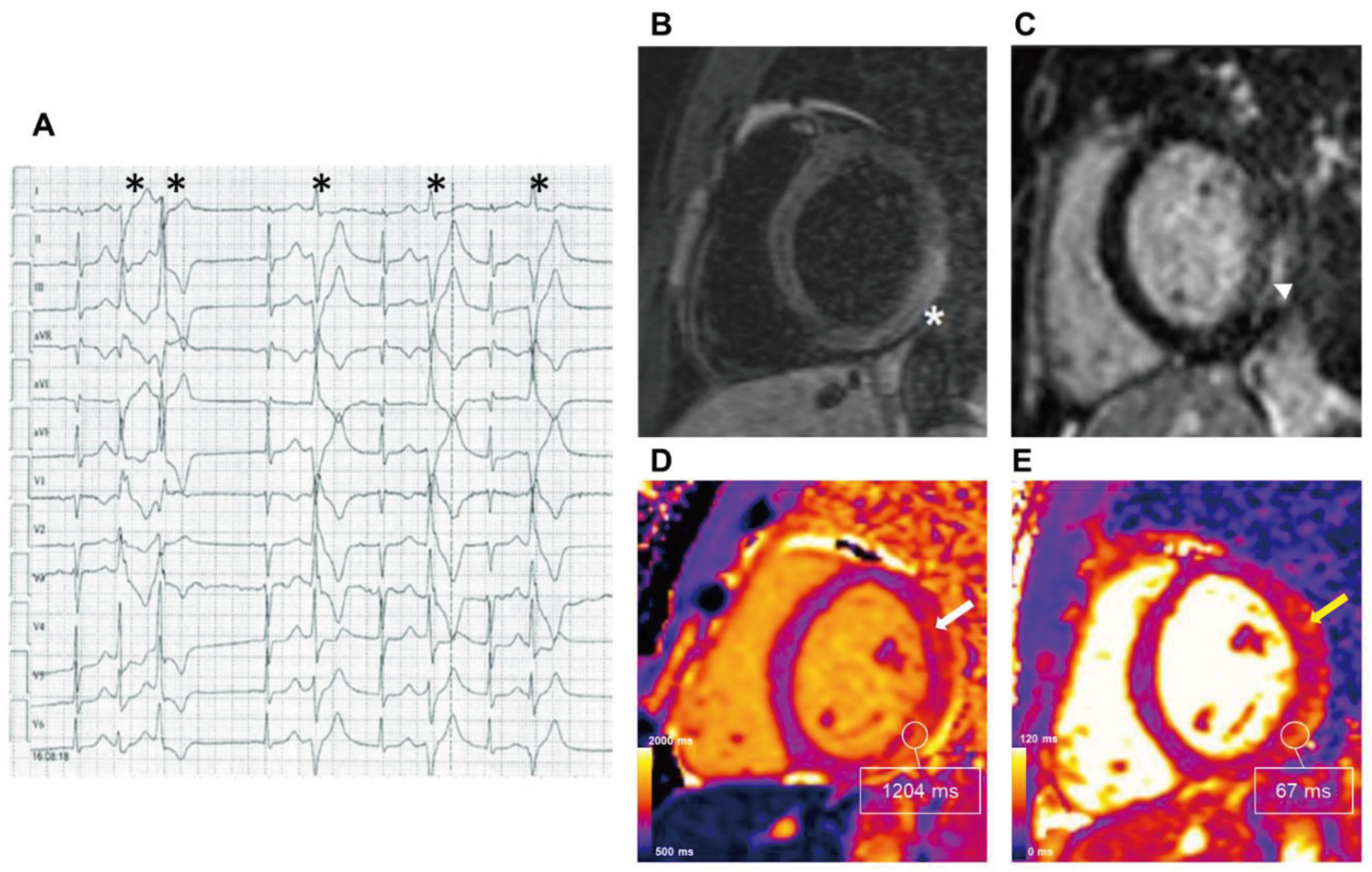 Preprints 102343 g002