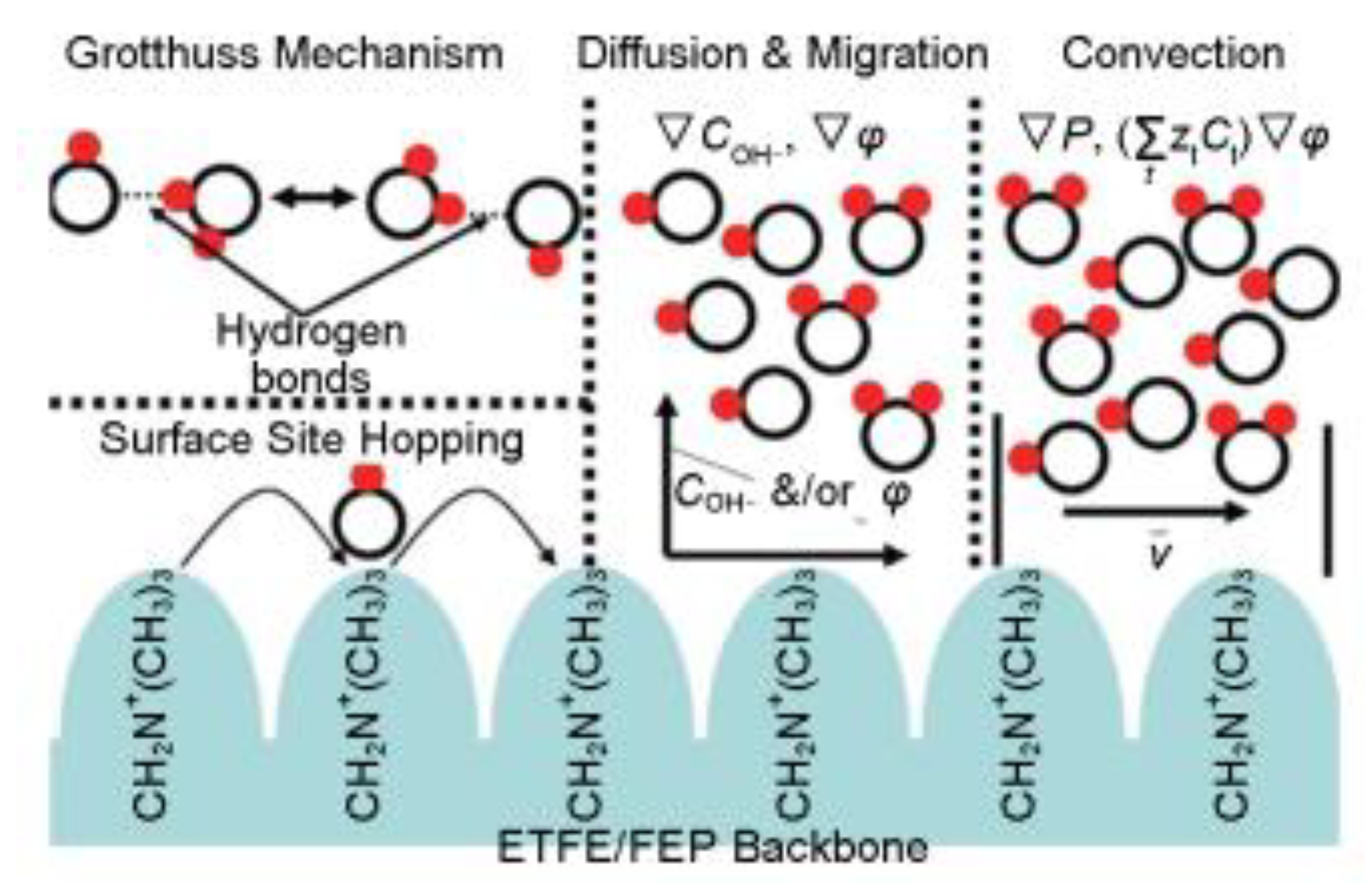 Preprints 166073 g001