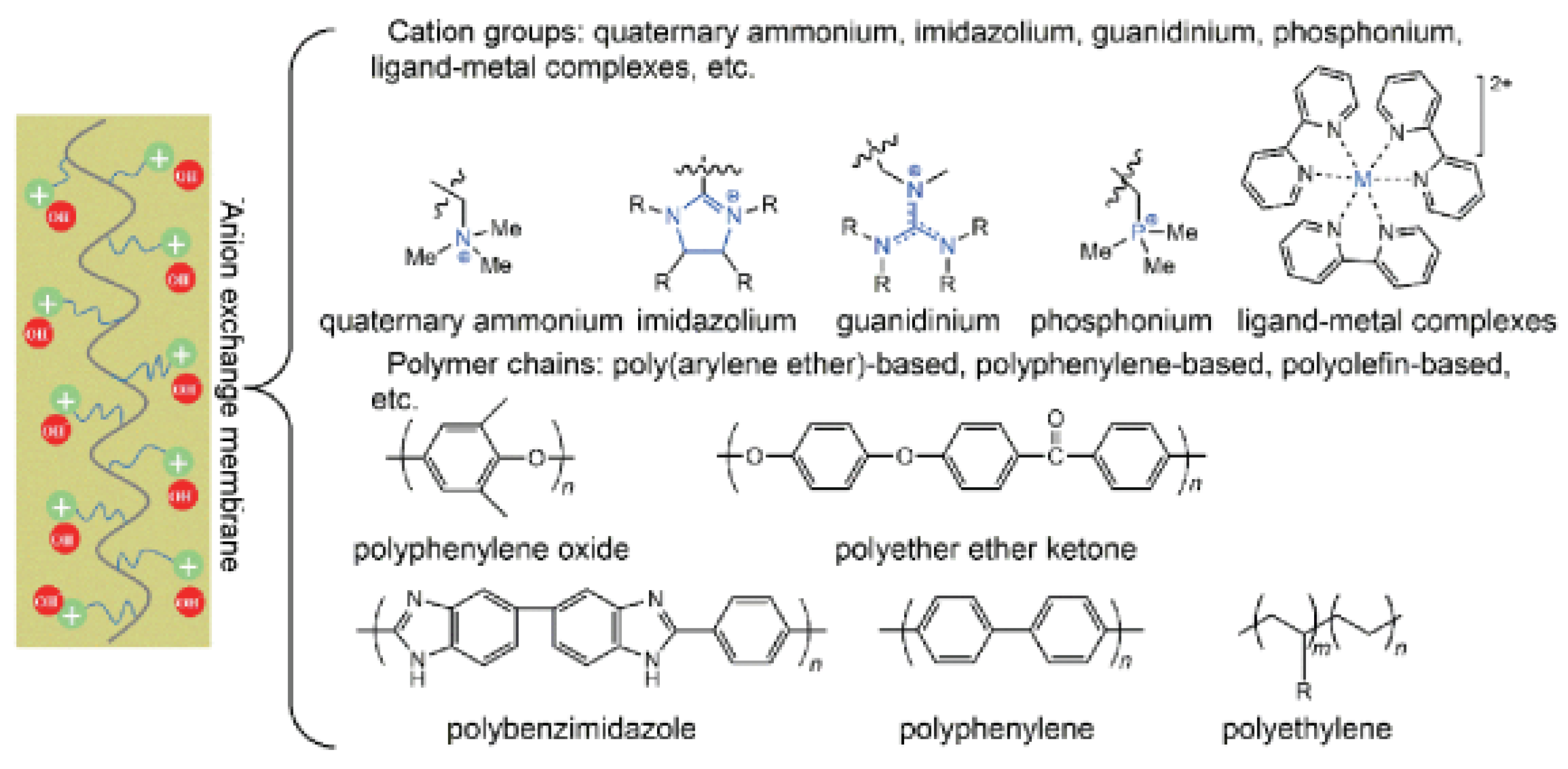 Preprints 166073 g003