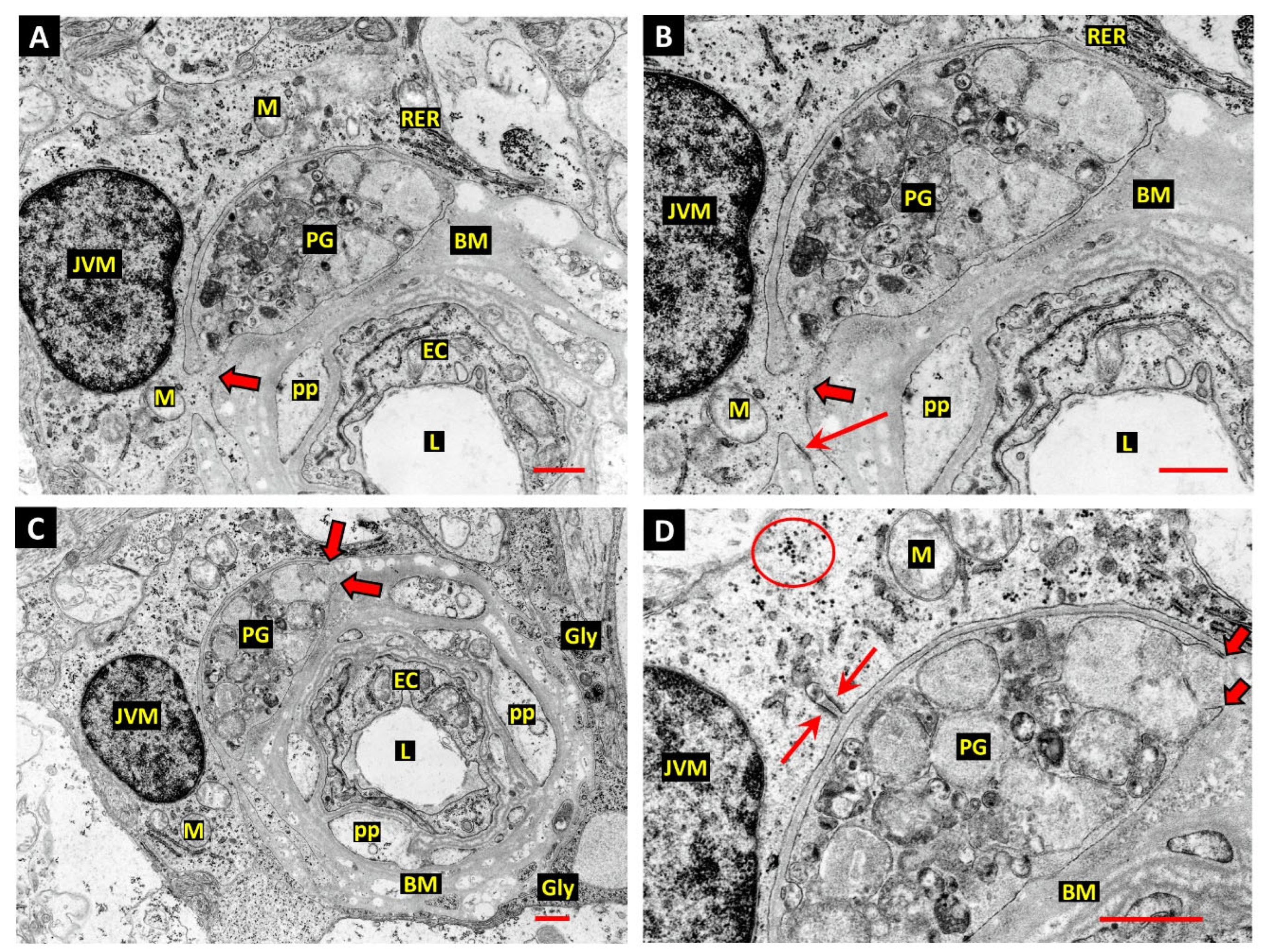 Preprints 171569 g004