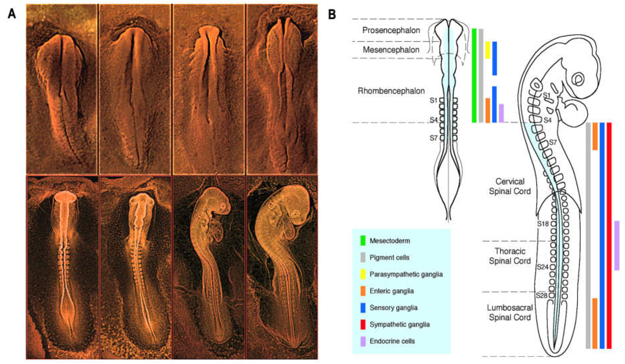 Preprints 69525 g001