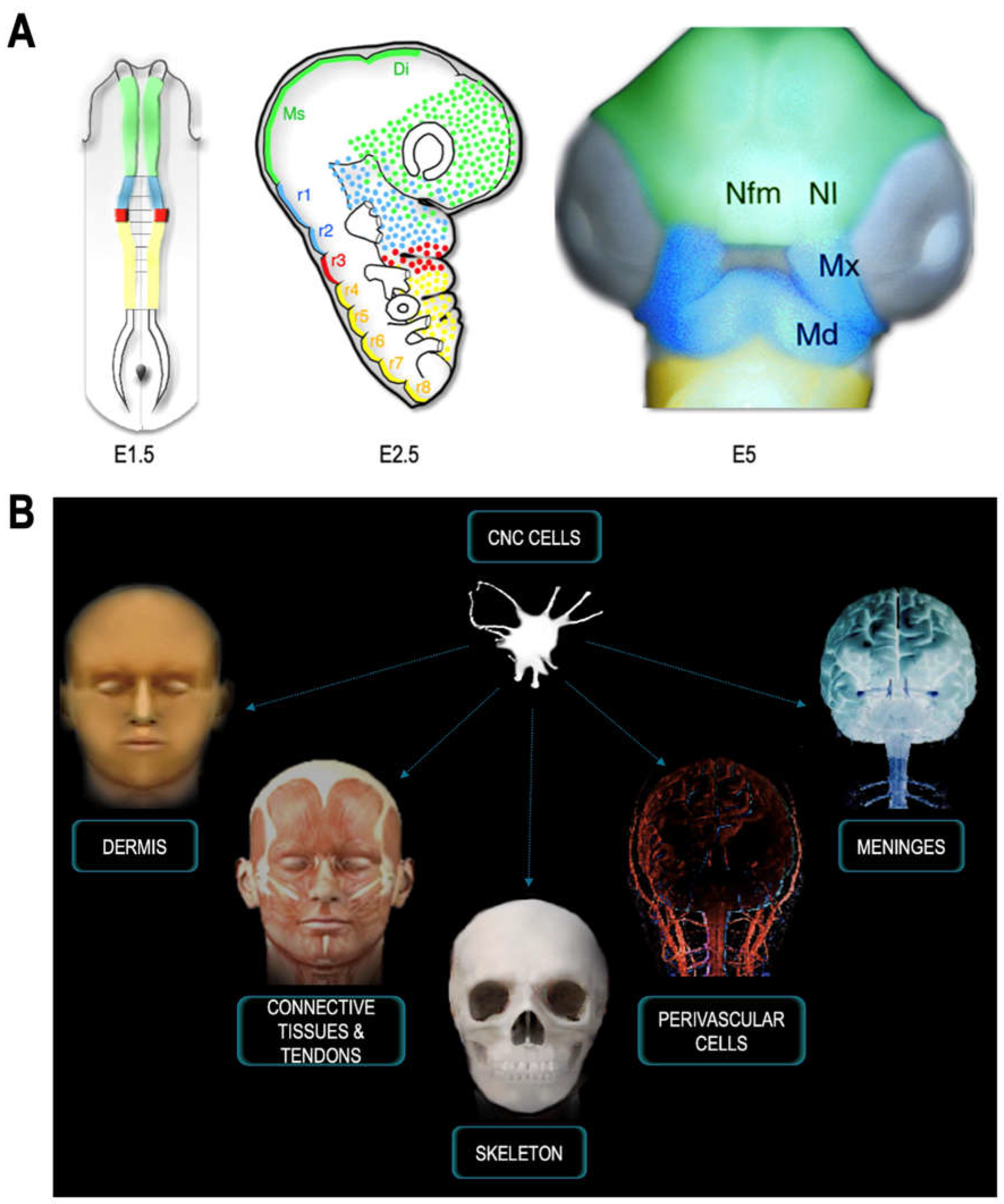 Preprints 69525 g002