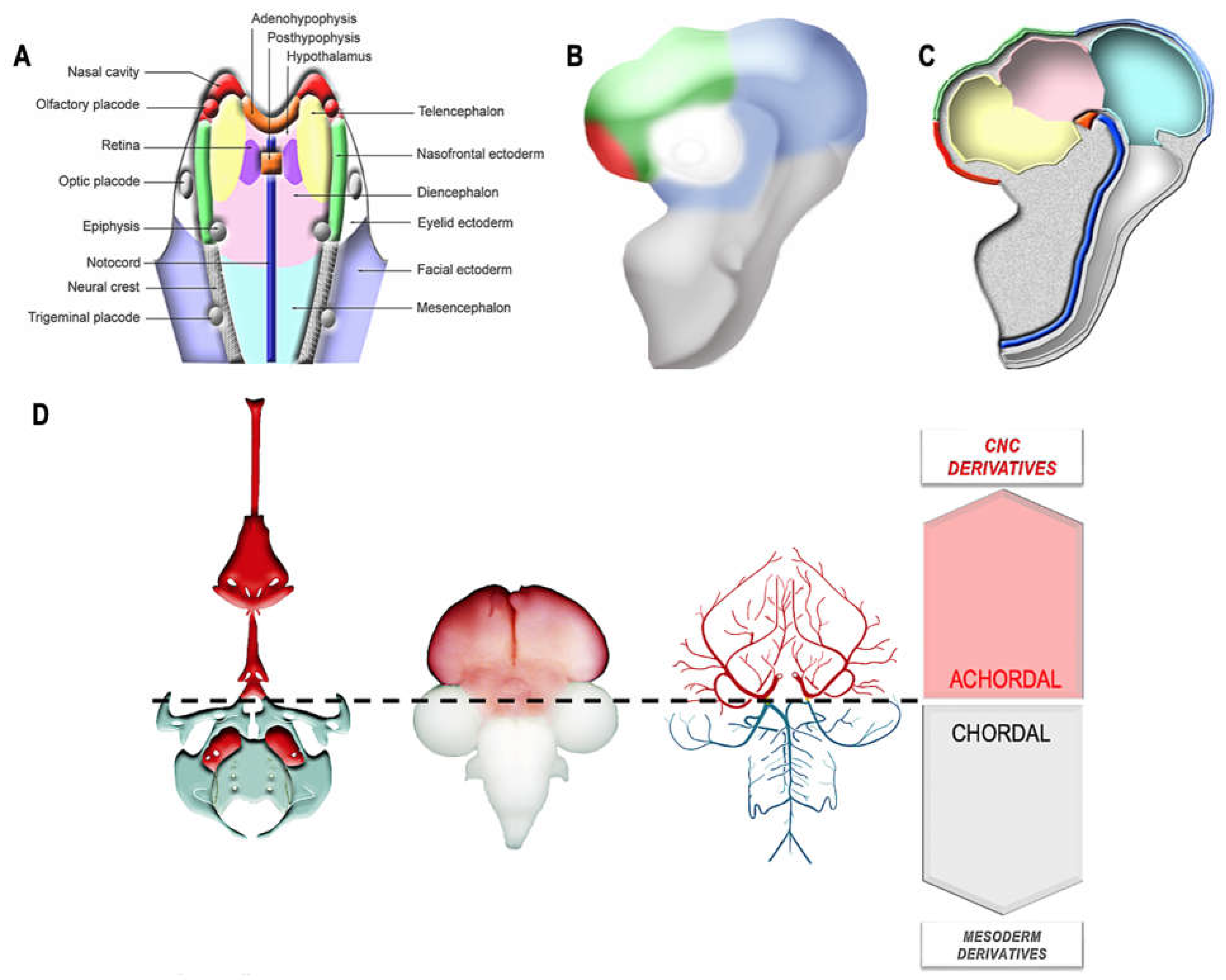 Preprints 69525 g003