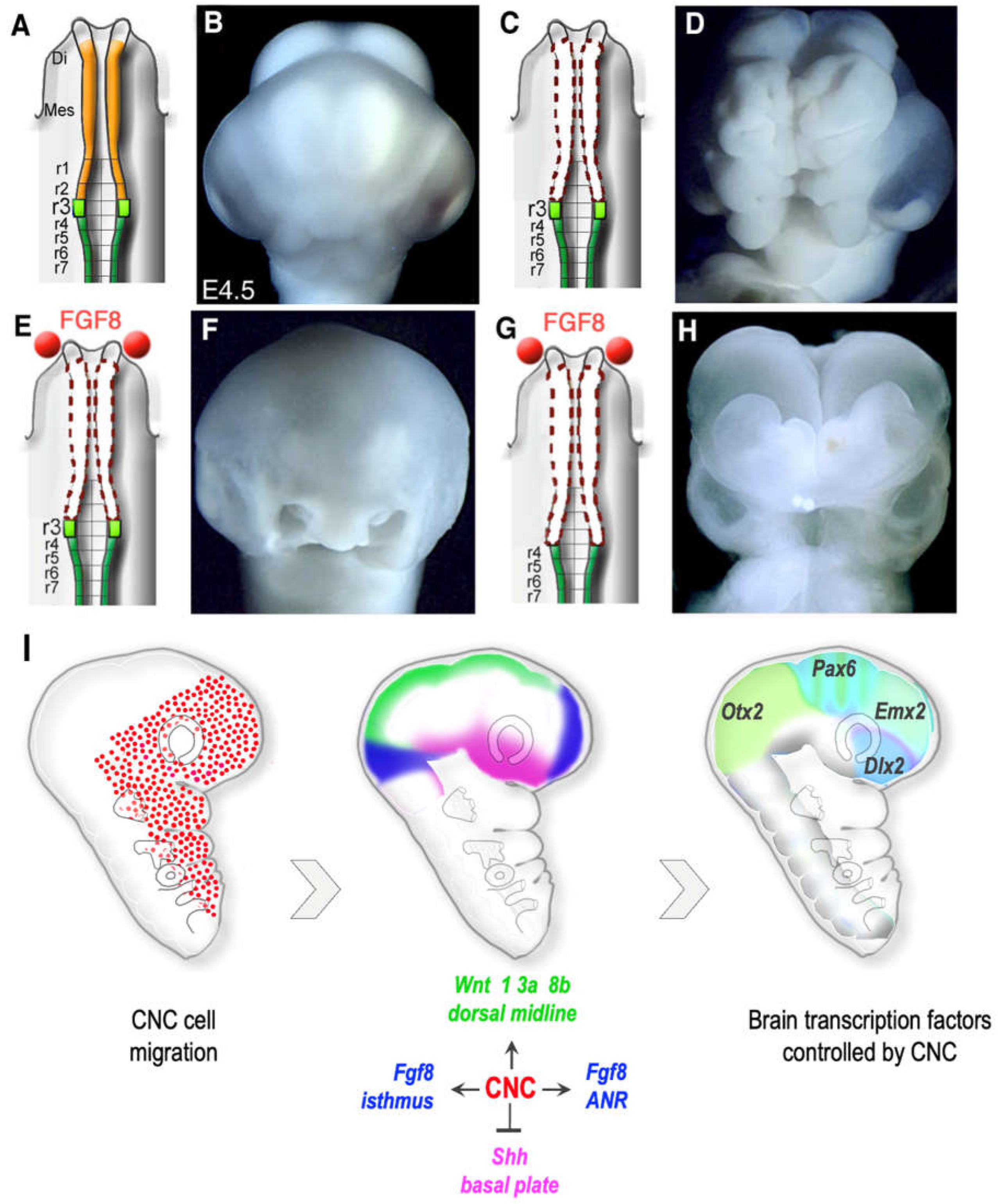 Preprints 69525 g004