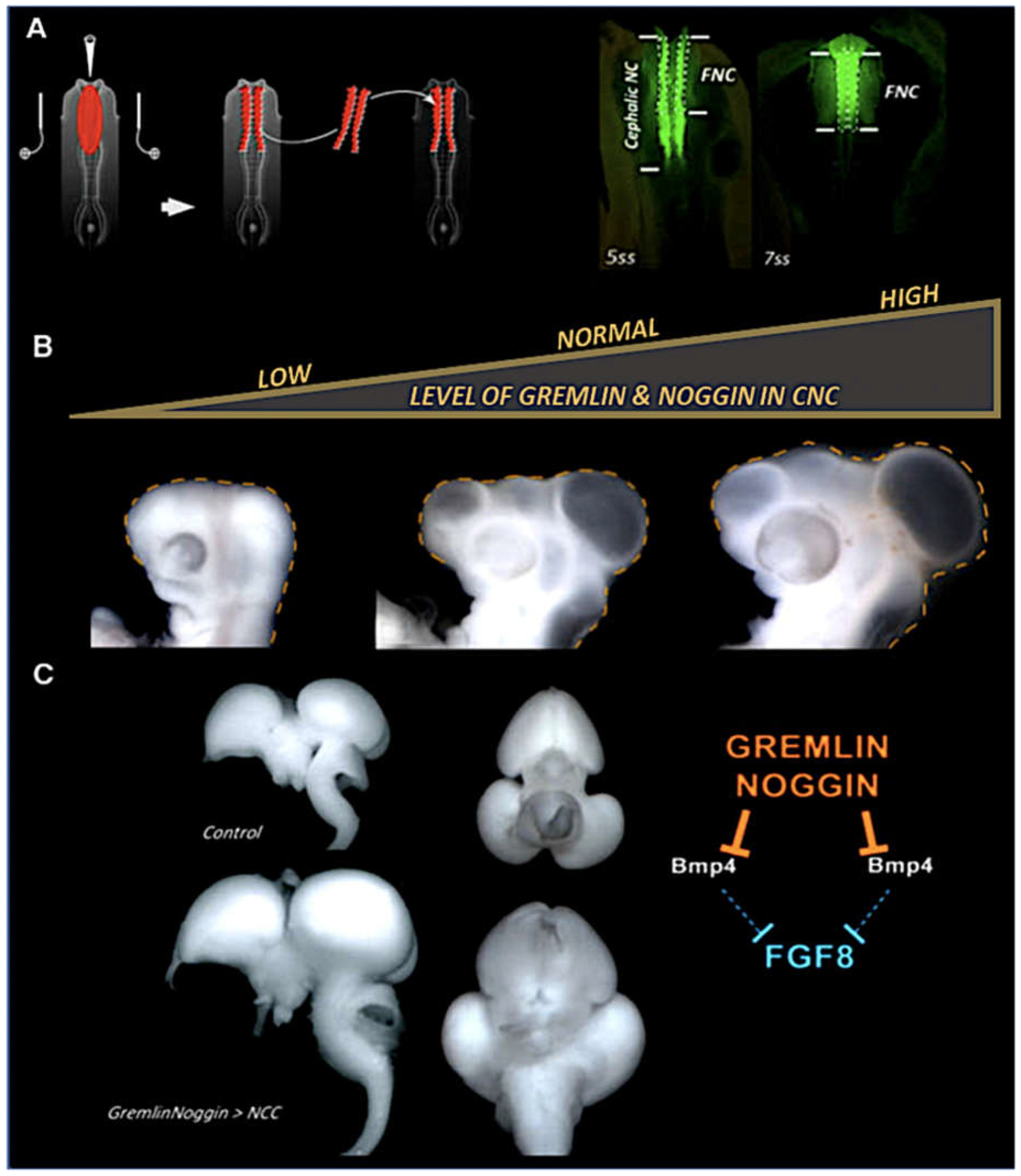 Preprints 69525 g005