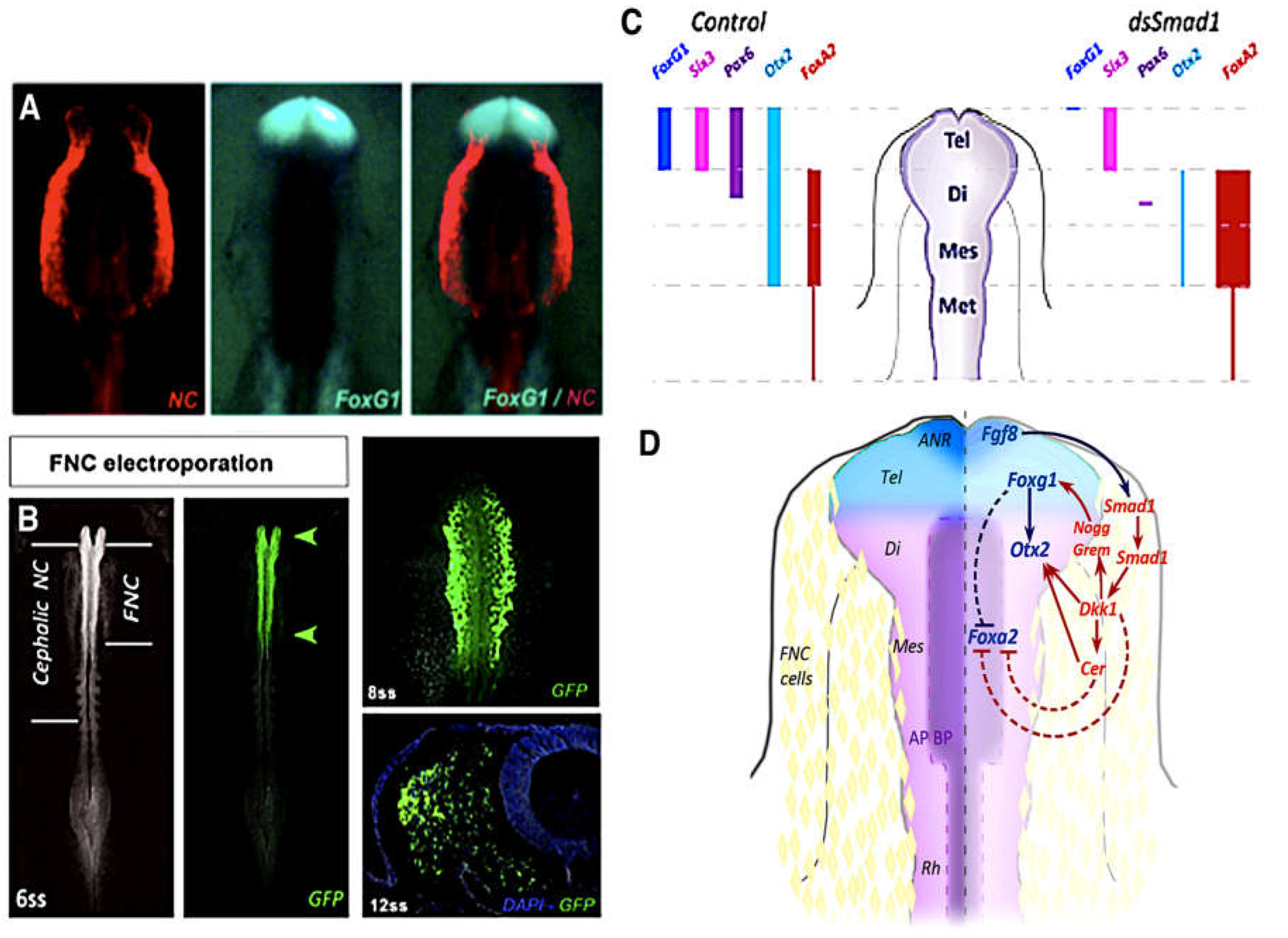 Preprints 69525 g006