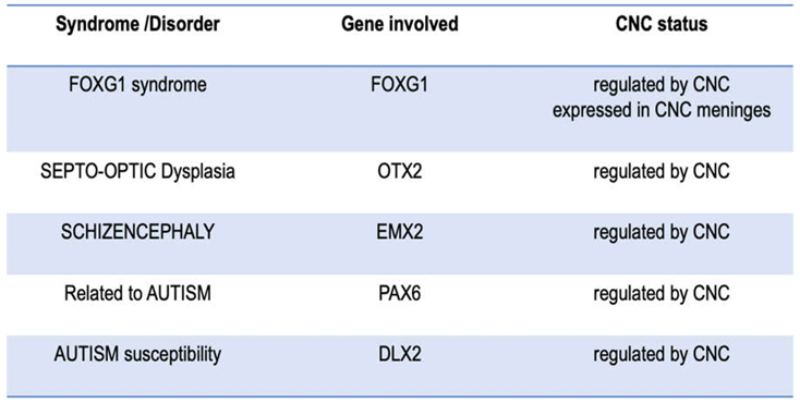 Preprints 69525 i001