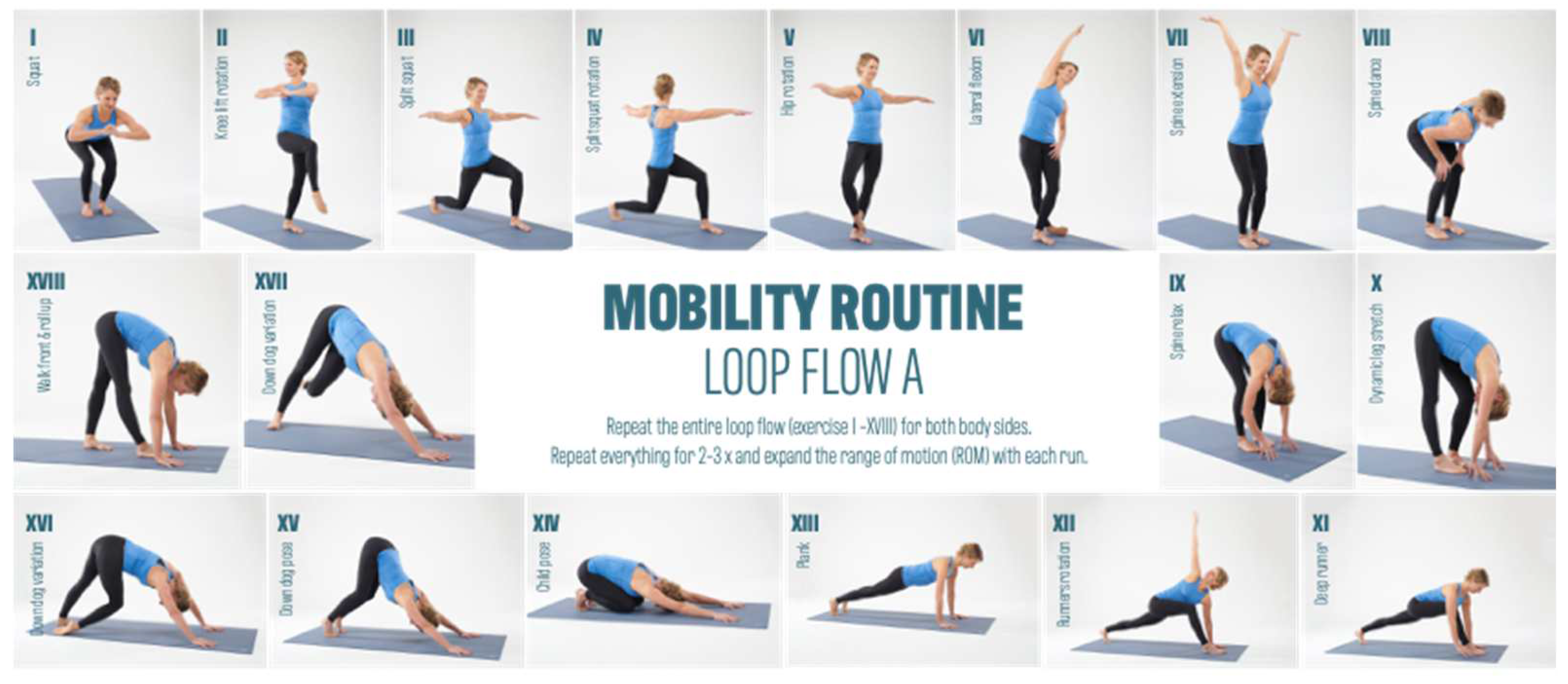 Preprints 89544 g001