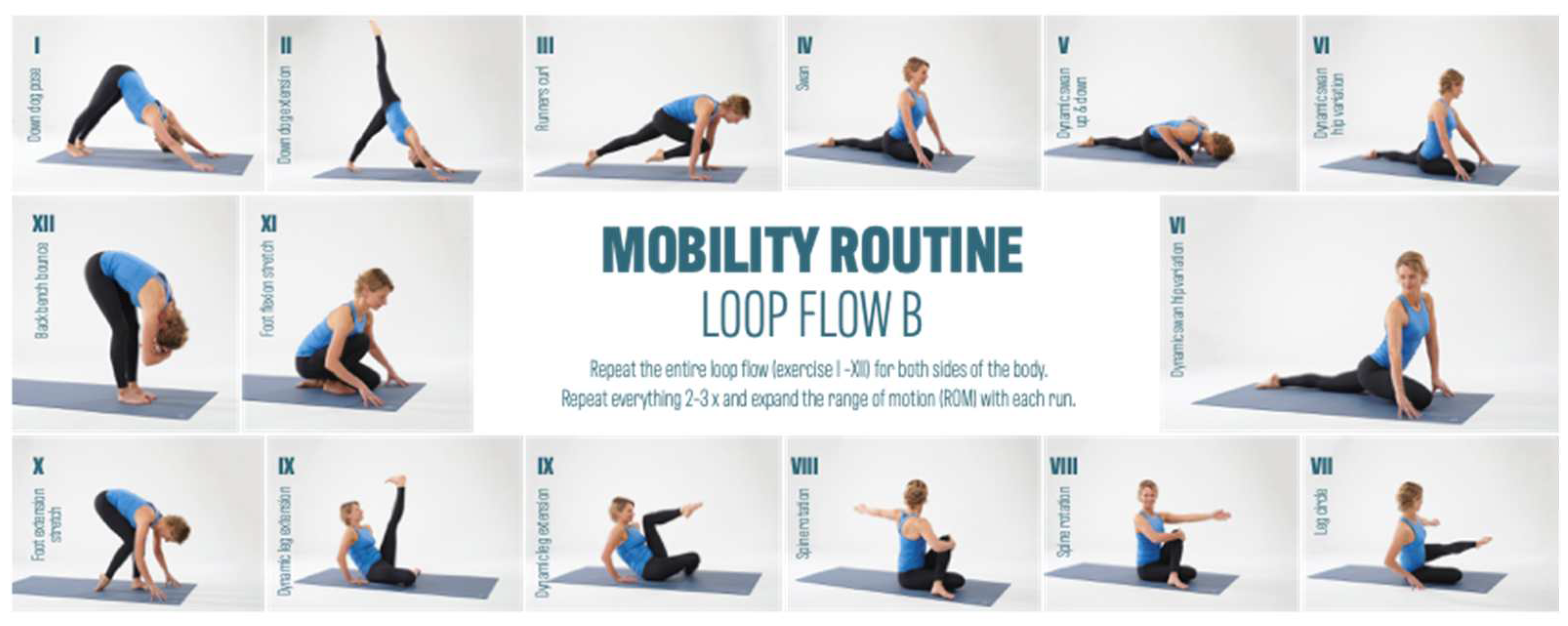 Preprints 89544 g002