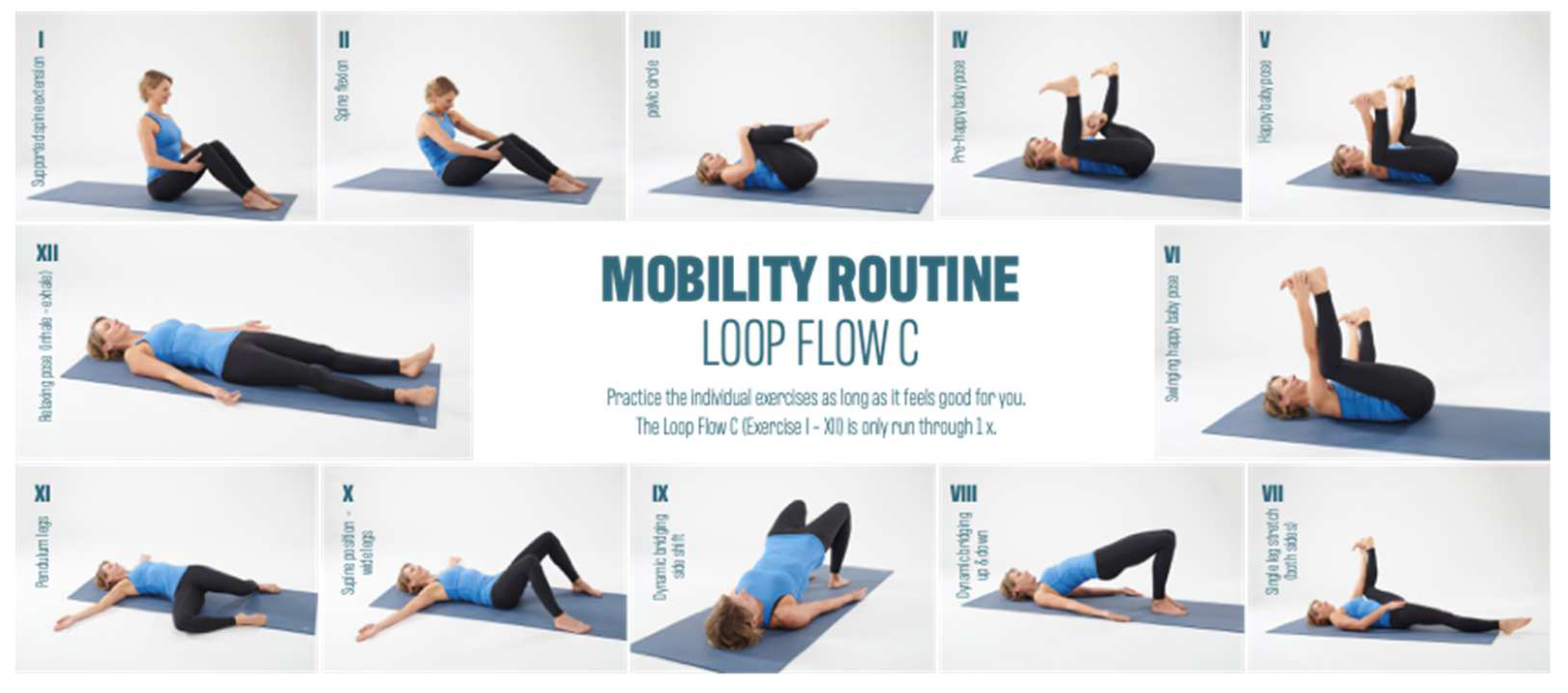 Preprints 89544 g003