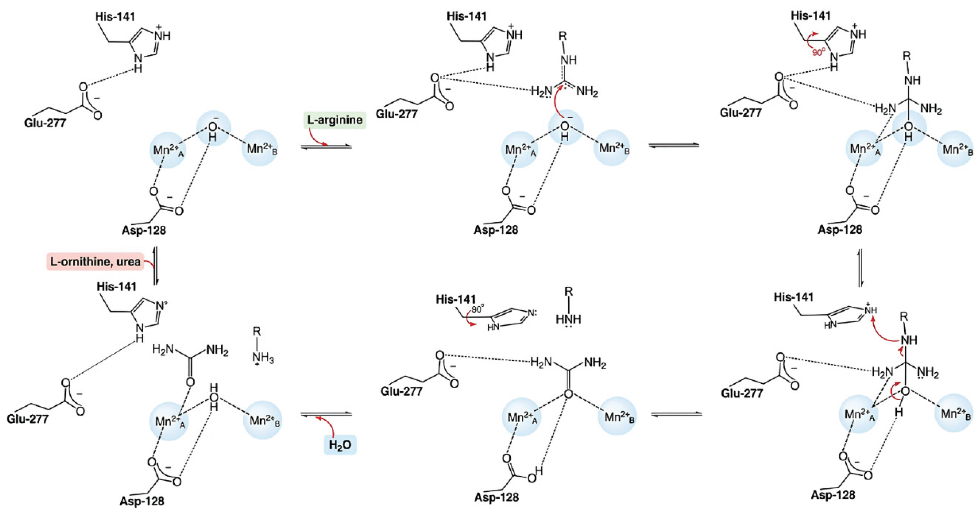 Preprints 232302 g001