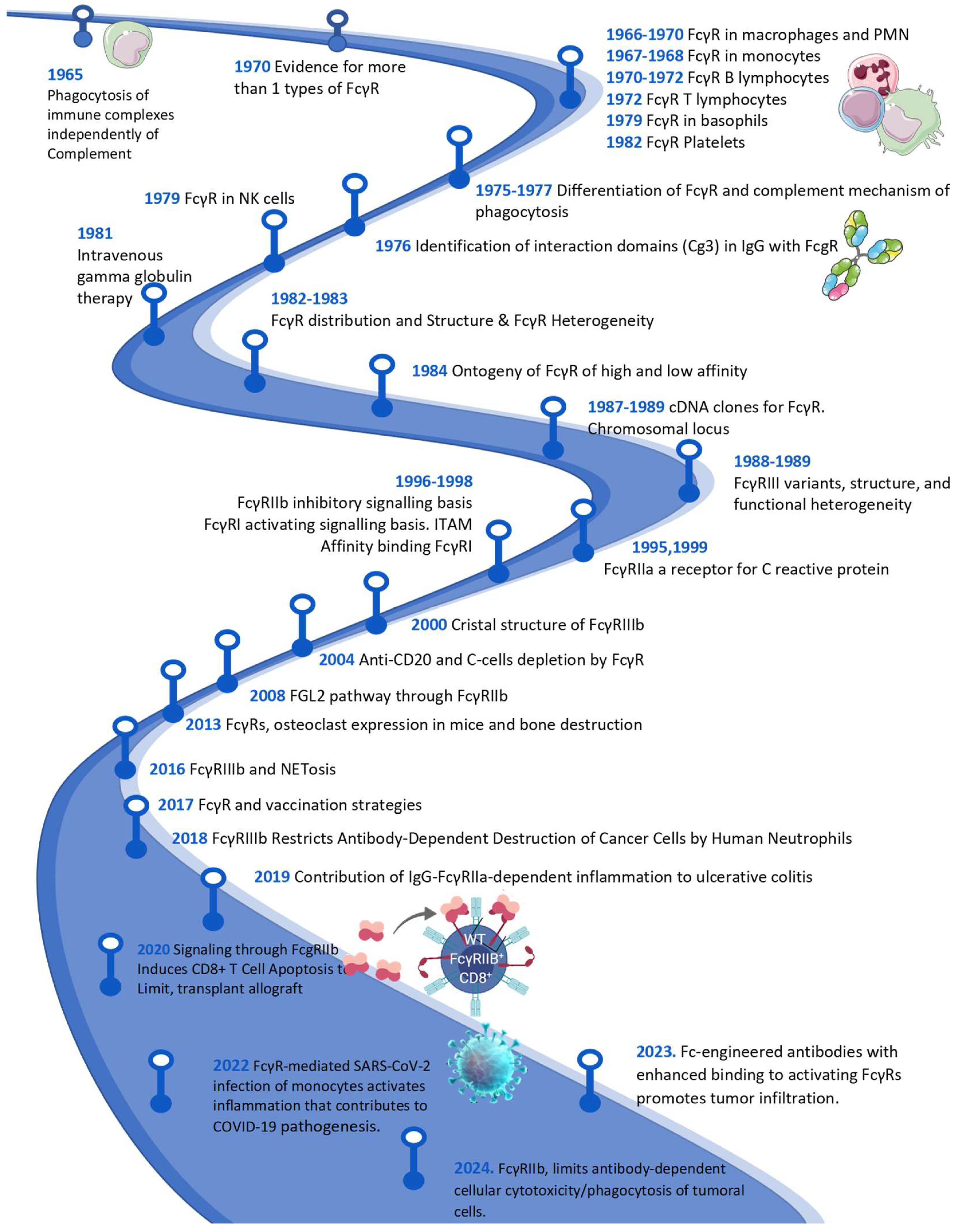 Preprints 143180 g001