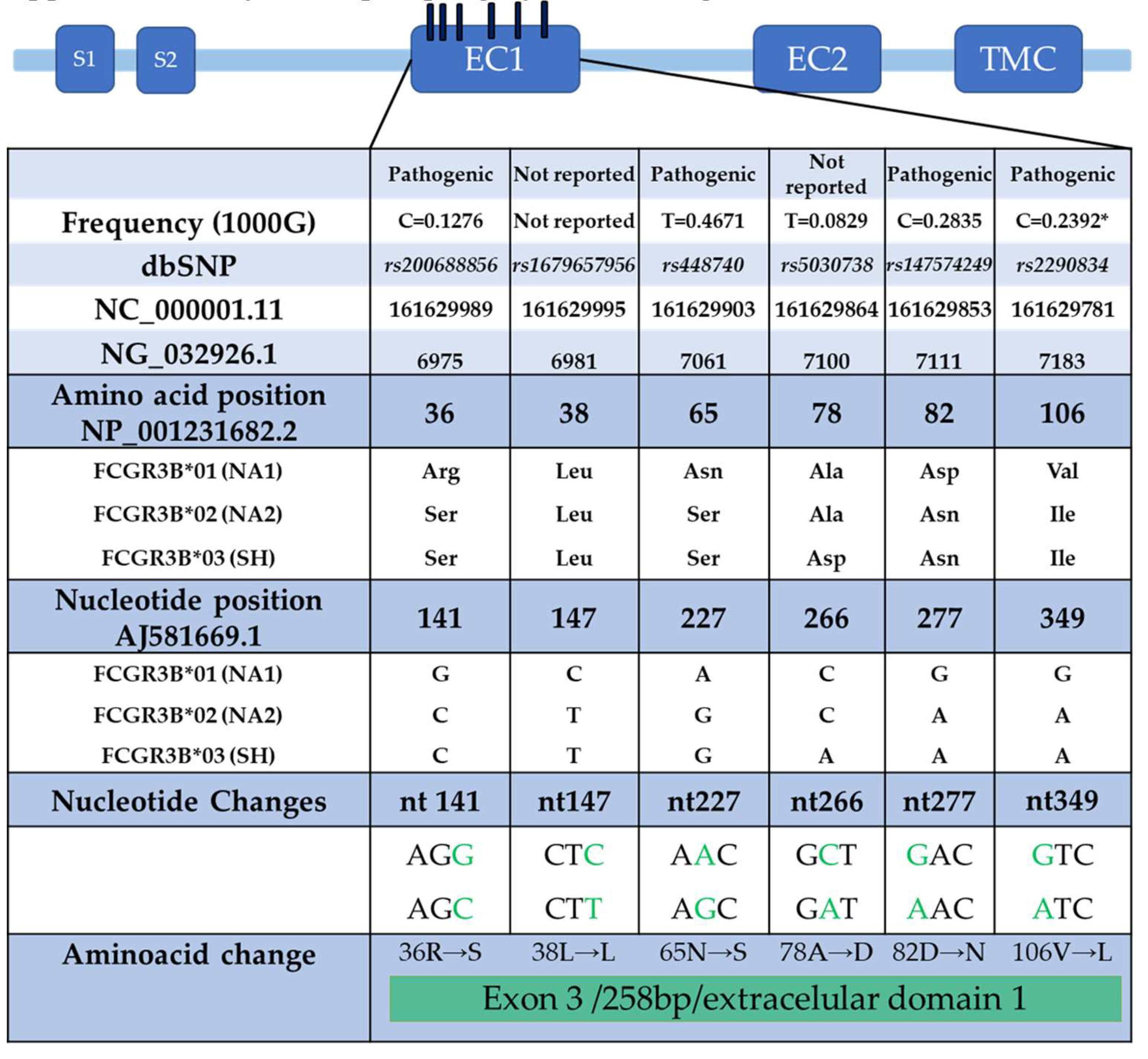 Preprints 143180 g002