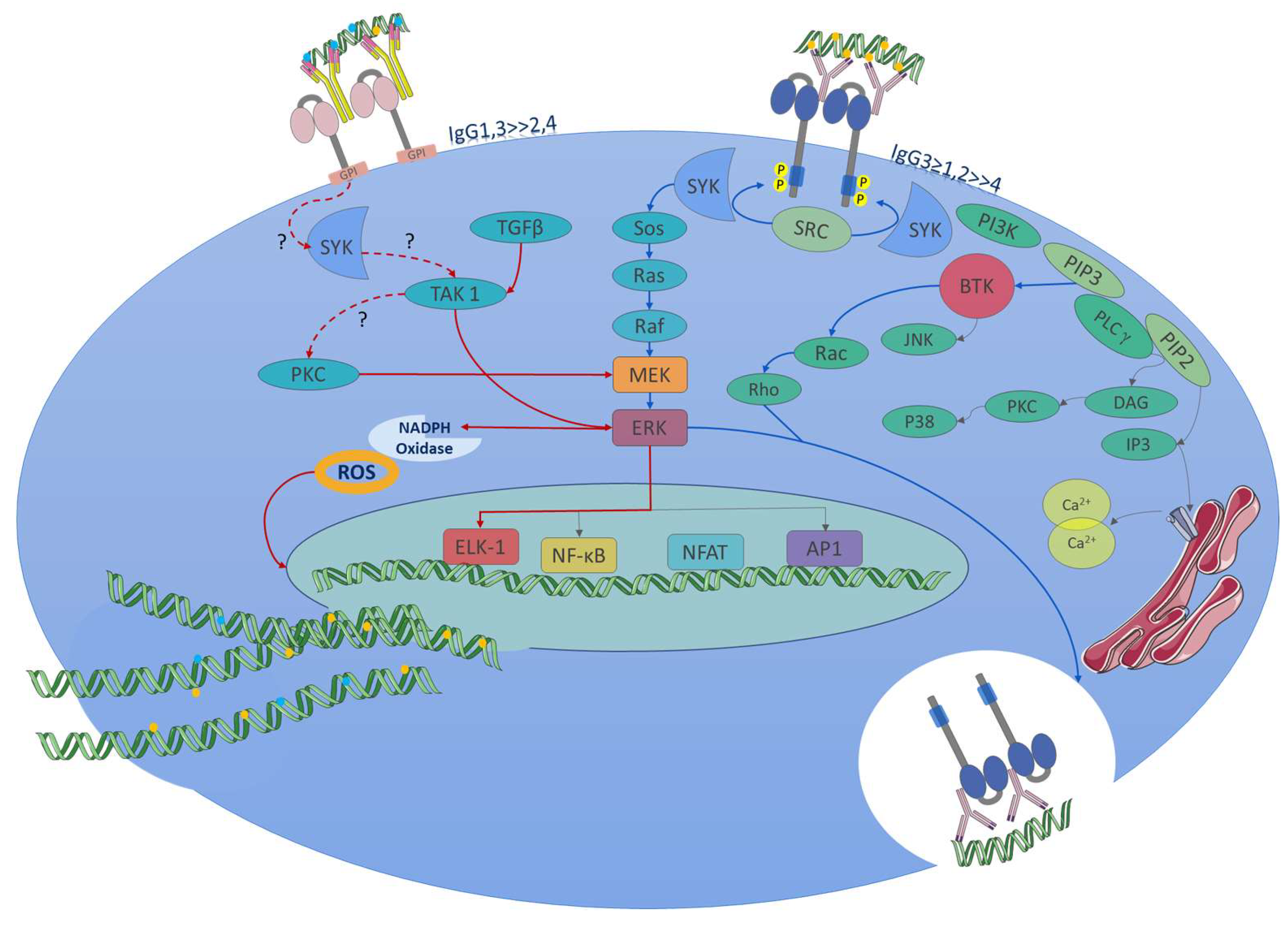 Preprints 143180 g003