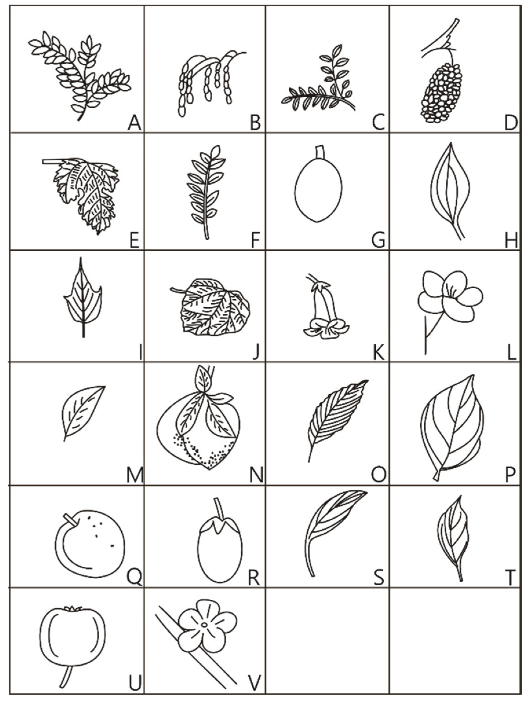 Preprints 151462 g002