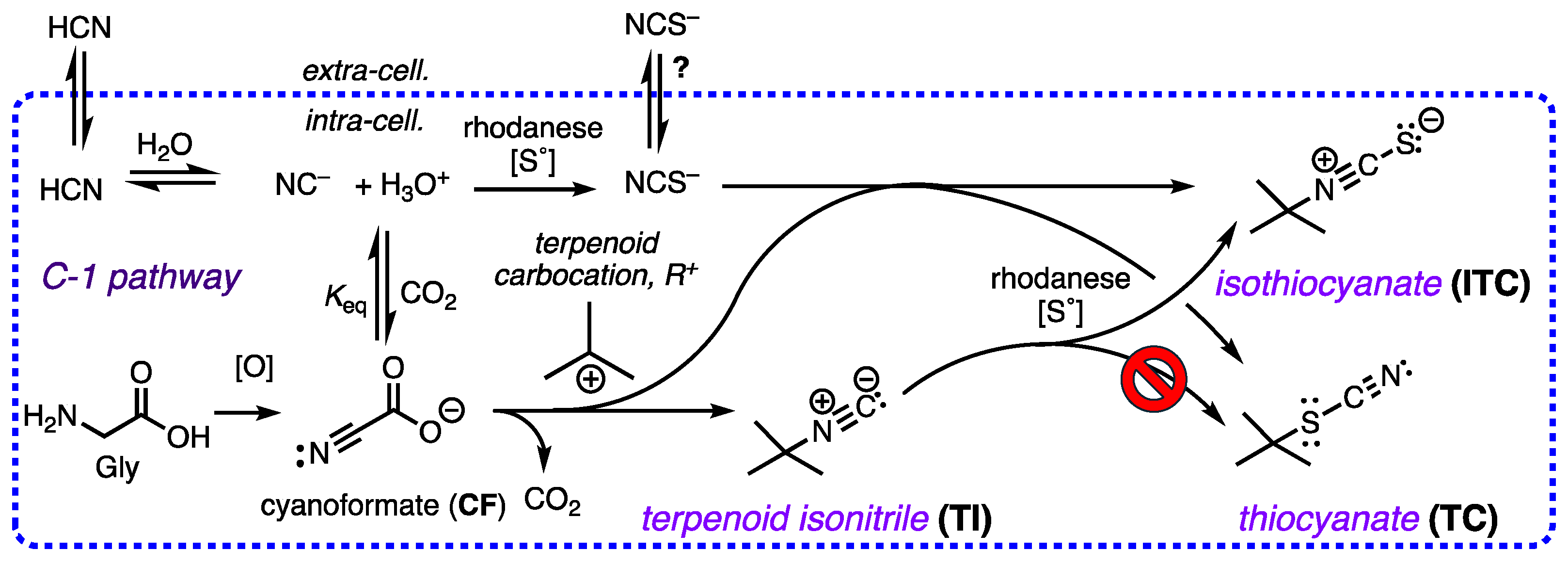 Preprints 146703 sch001