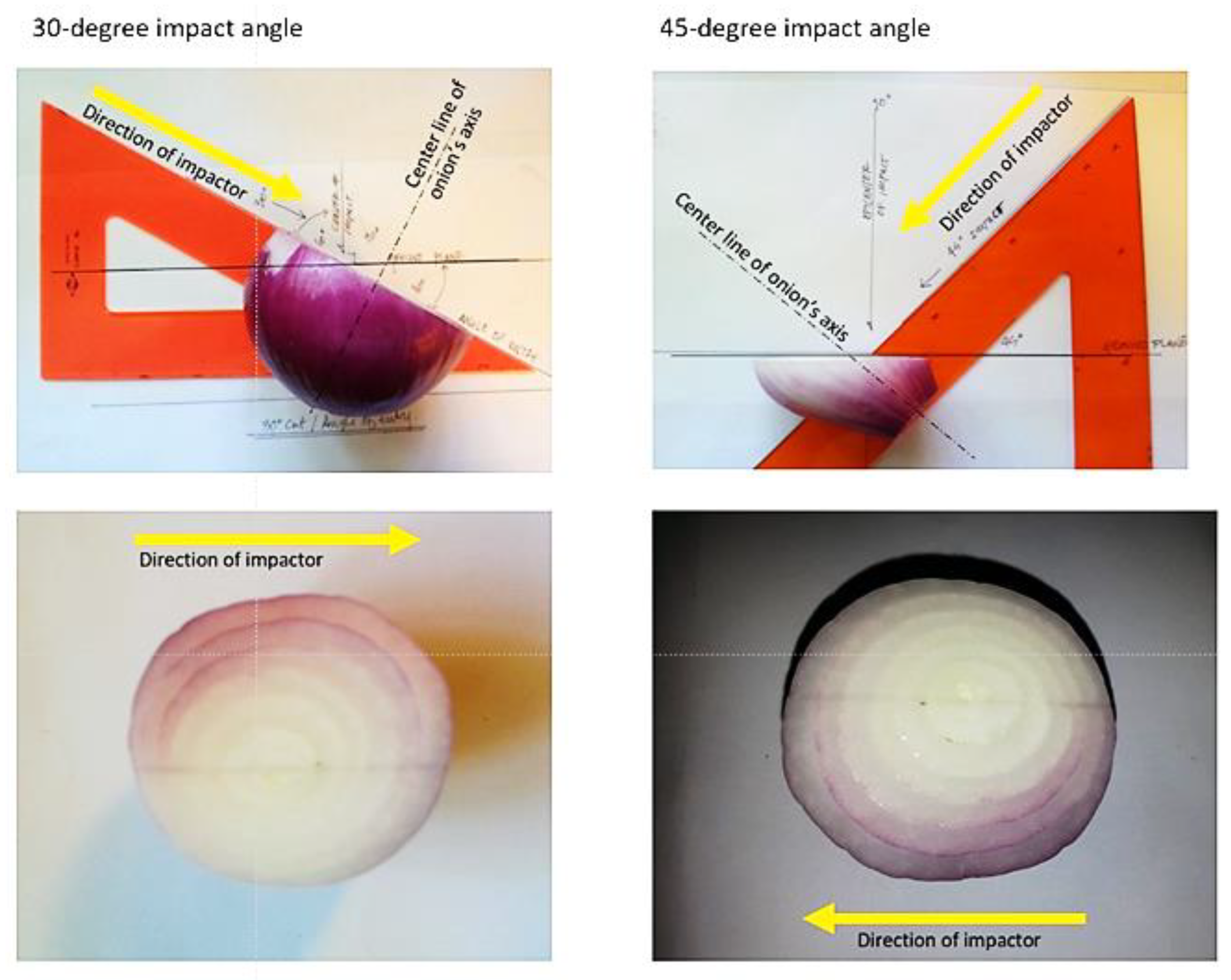 Preprints 137528 g004