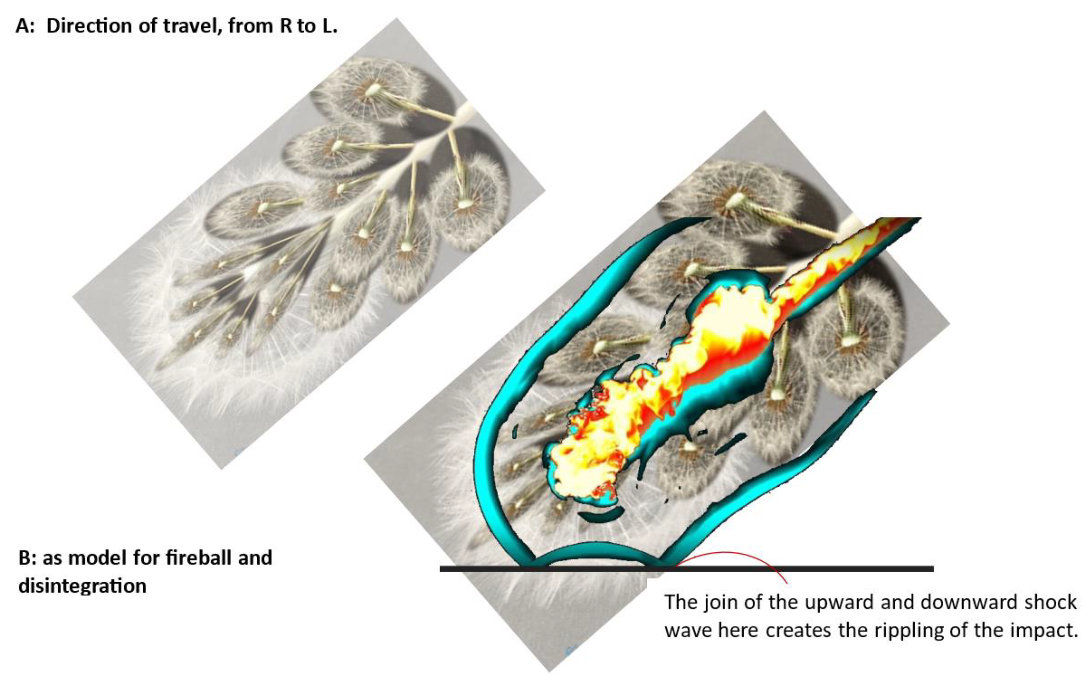 Preprints 137528 g012