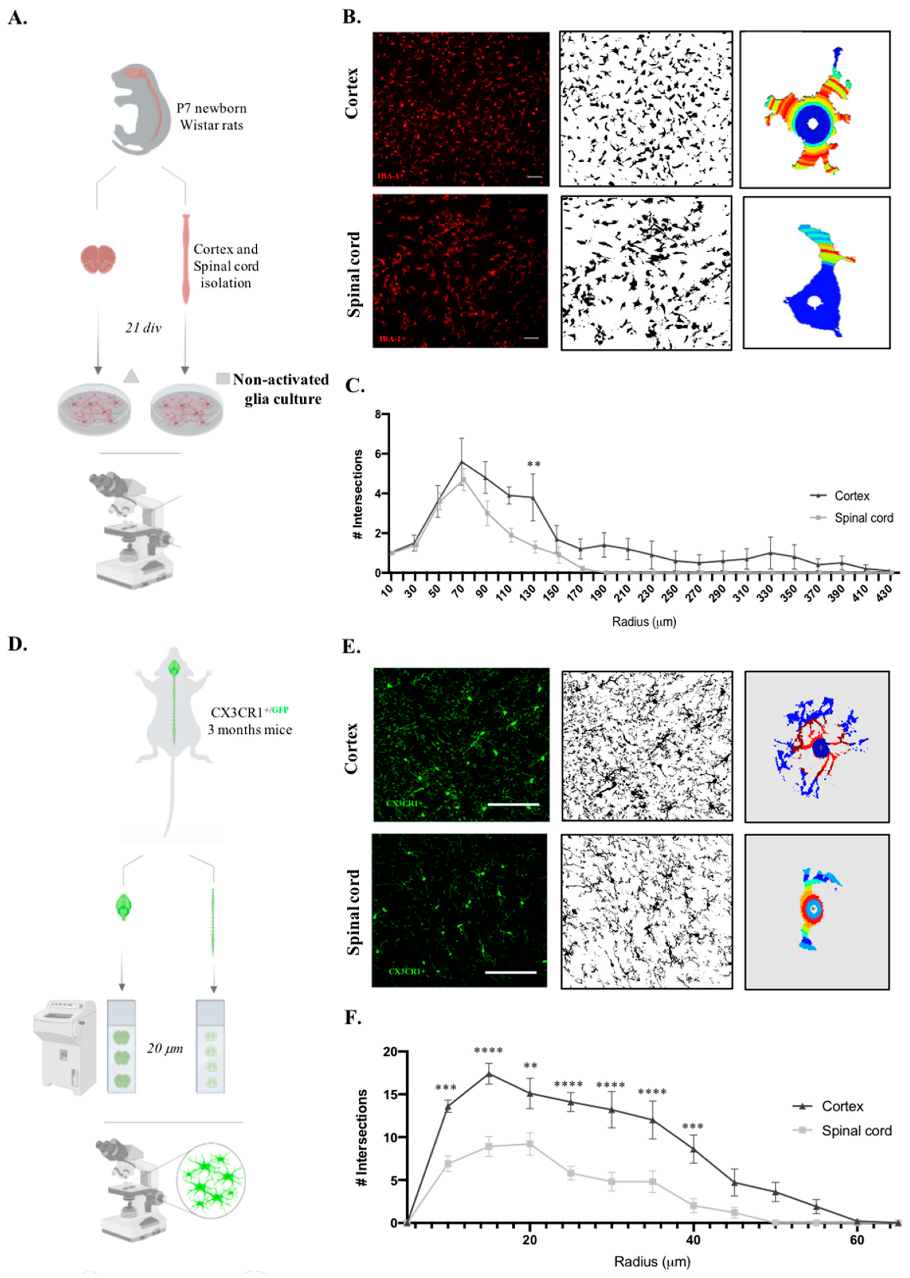 Preprints 70327 g003