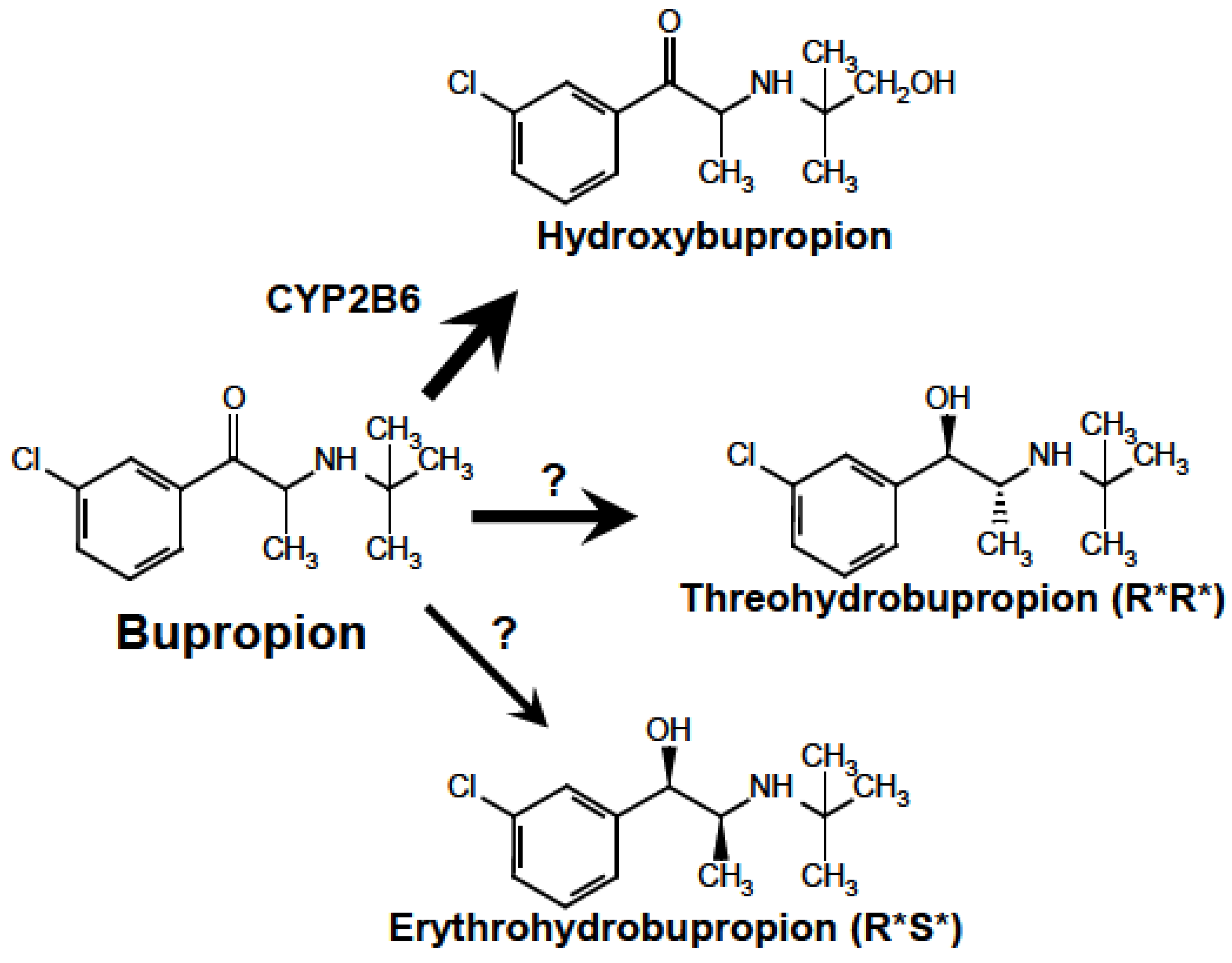 Preprints 199564 g001
