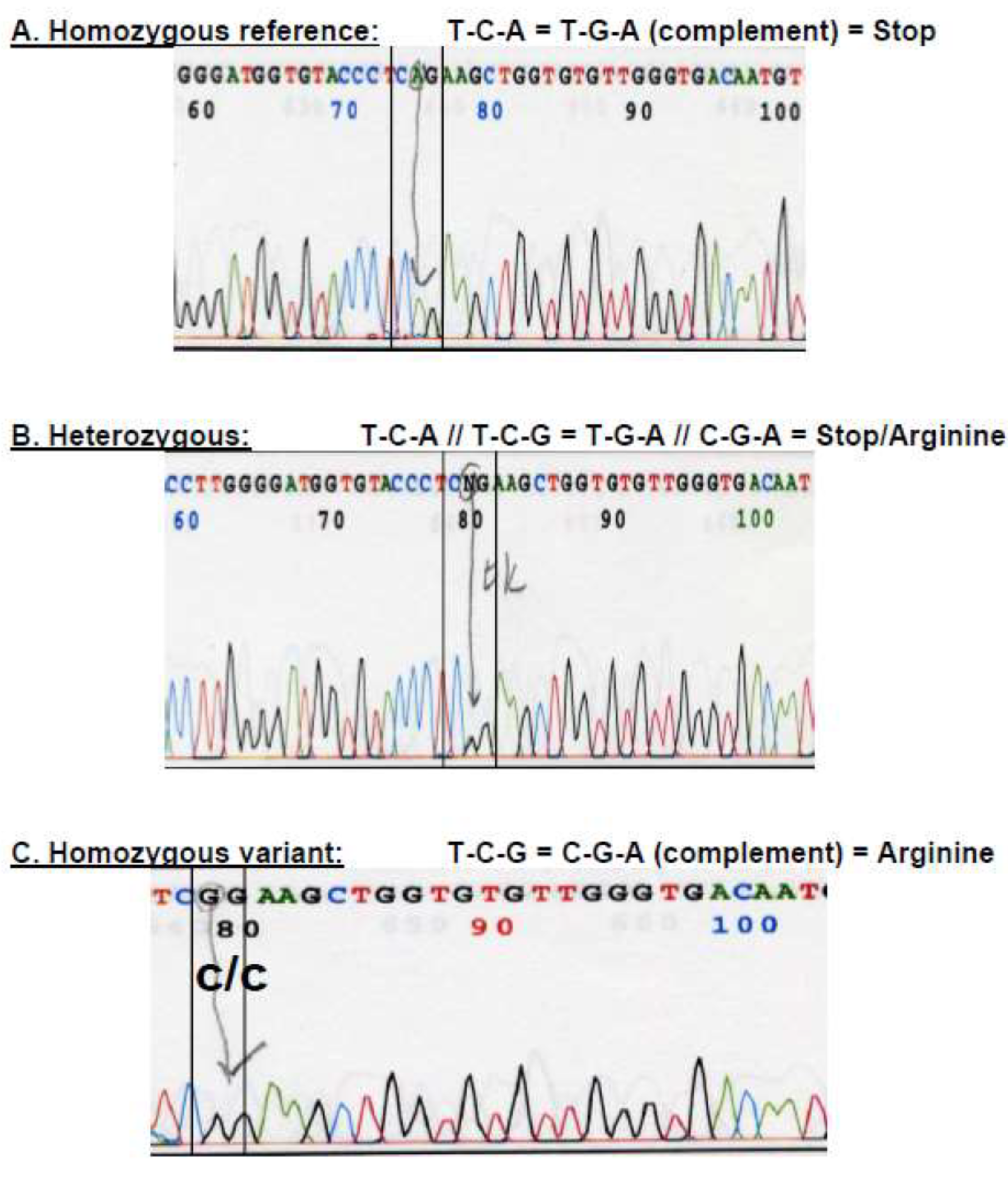 Preprints 199564 g002