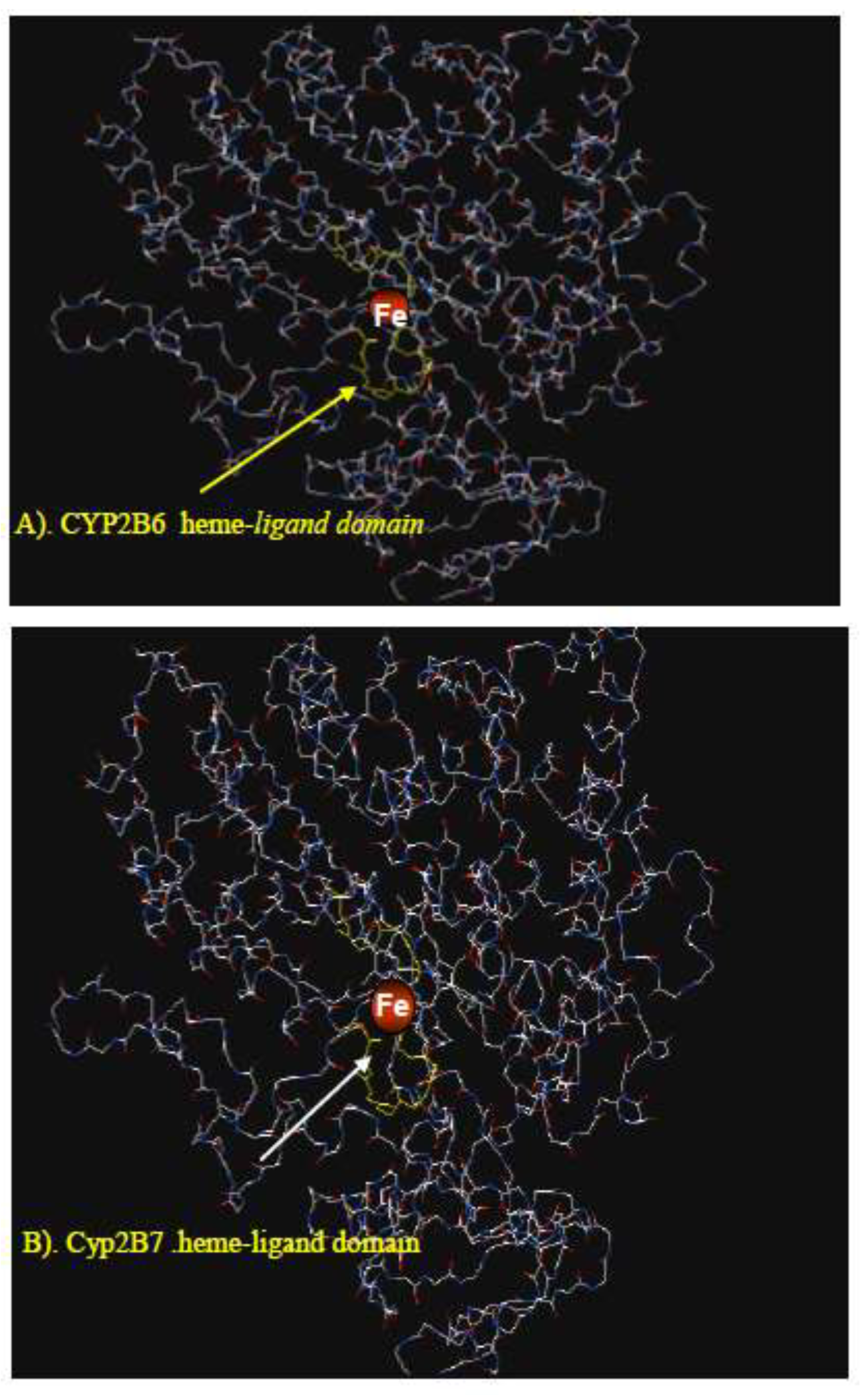 Preprints 199564 g005