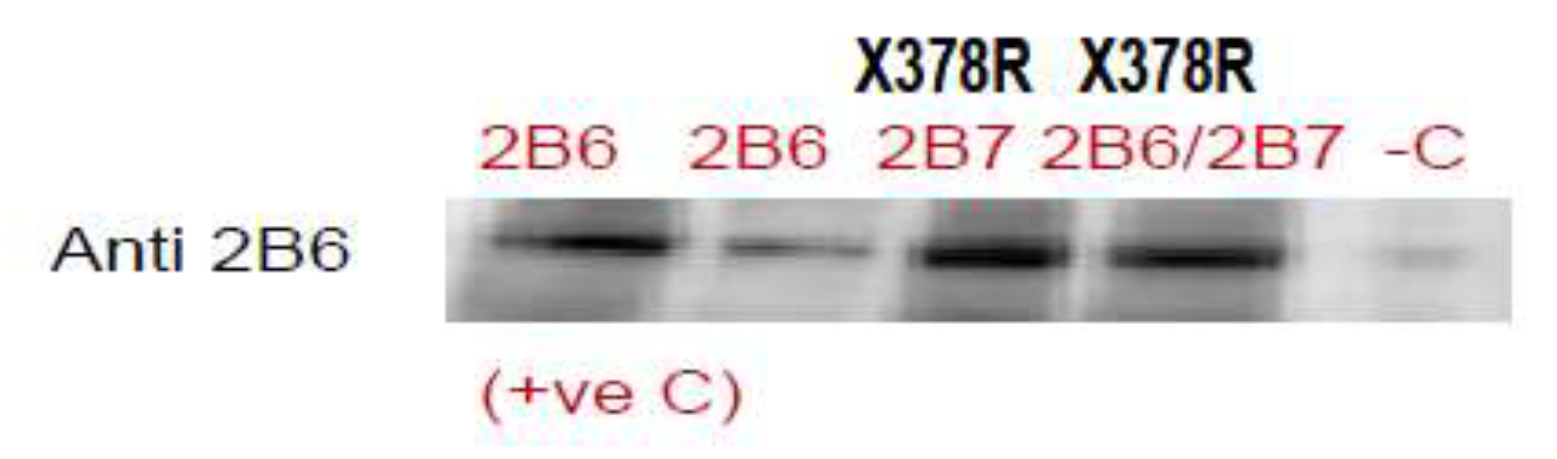 Preprints 199564 g006